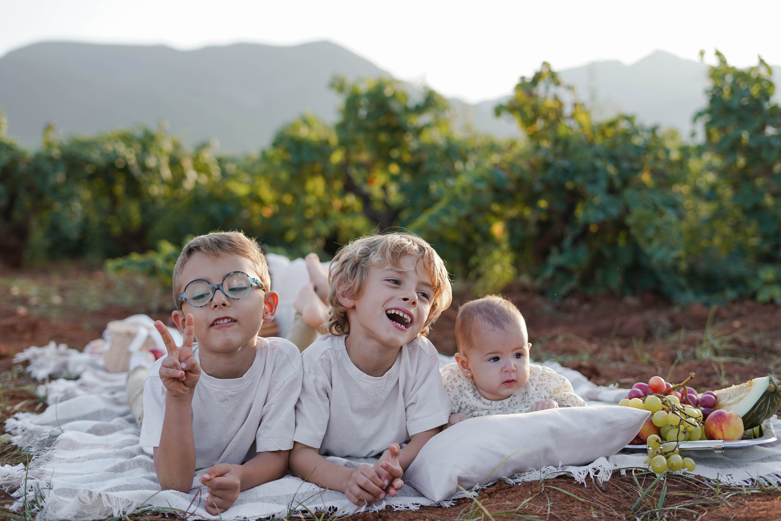Семейная фотосессия в виноградниках Испания. Индивидуальный, семейный, свадебный фотограф Бенидорм Диана Меметова
