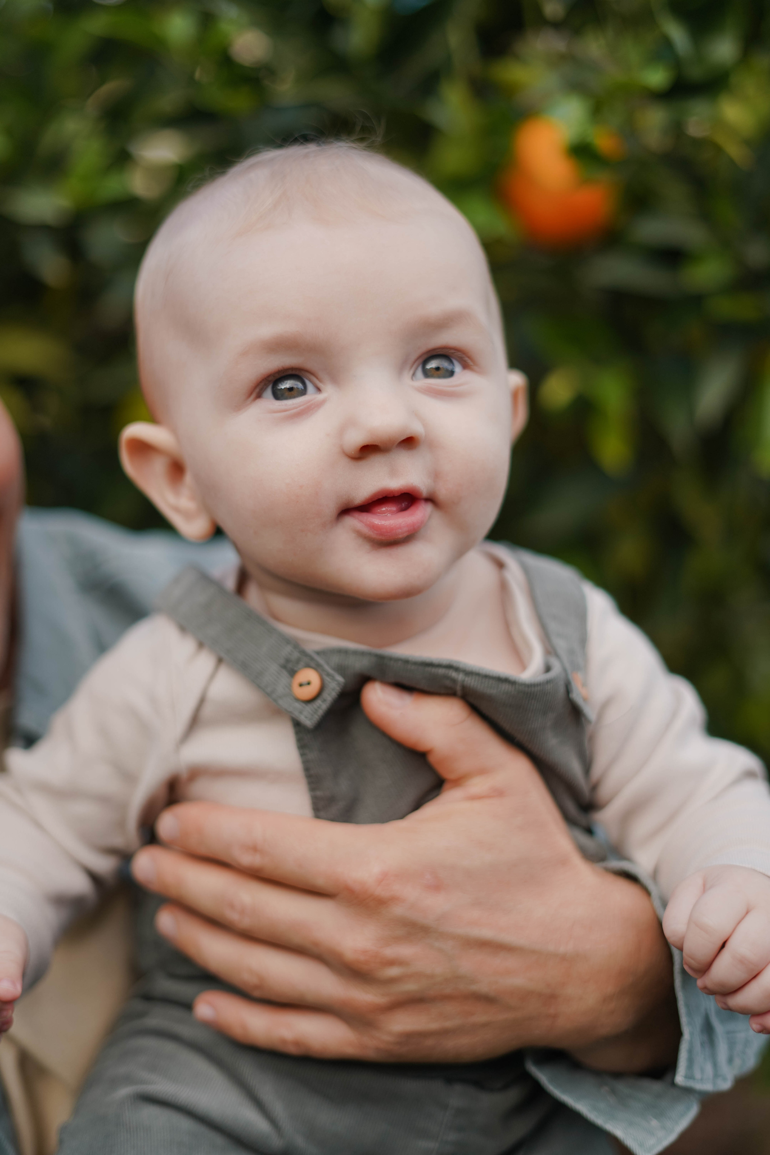 Семейная в апельсиновом саду. Индивидуальный, семейный, свадебный фотограф Бенидорм Диана Меметова