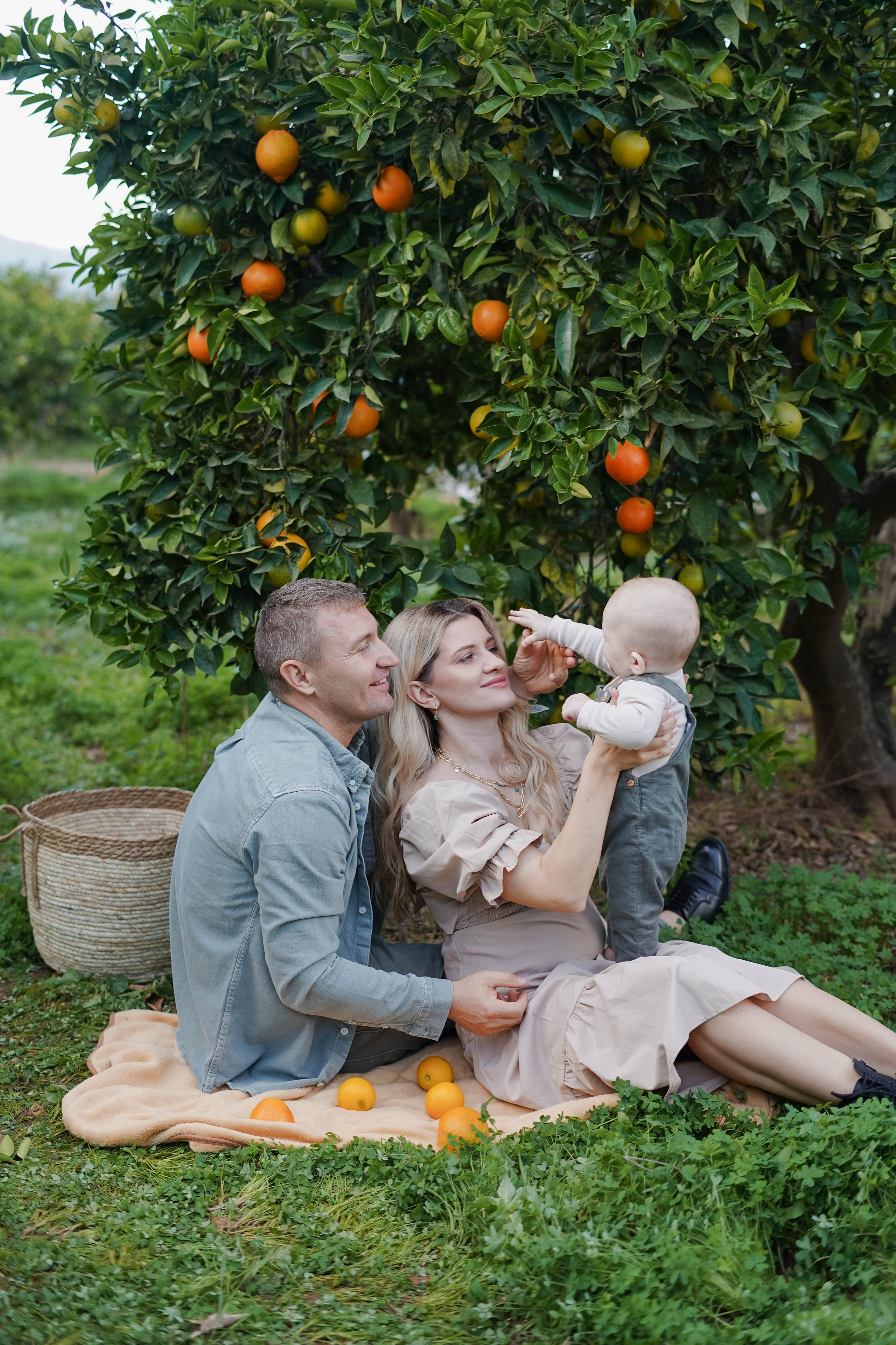Семейная в апельсиновом саду. Индивидуальный, семейный, свадебный фотограф Бенидорм Диана Меметова