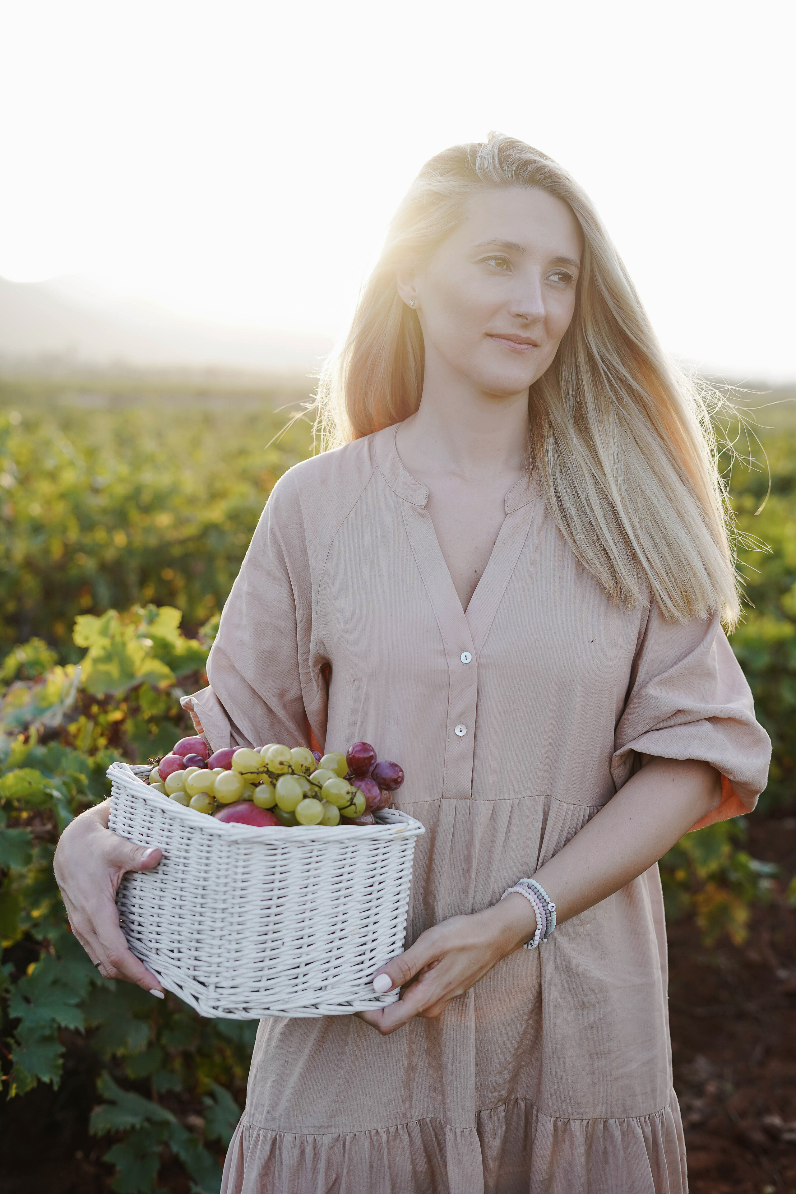 Семейная фотосессия в виноградниках Испания. Индивидуальный, семейный, свадебный фотограф Бенидорм Диана Меметова