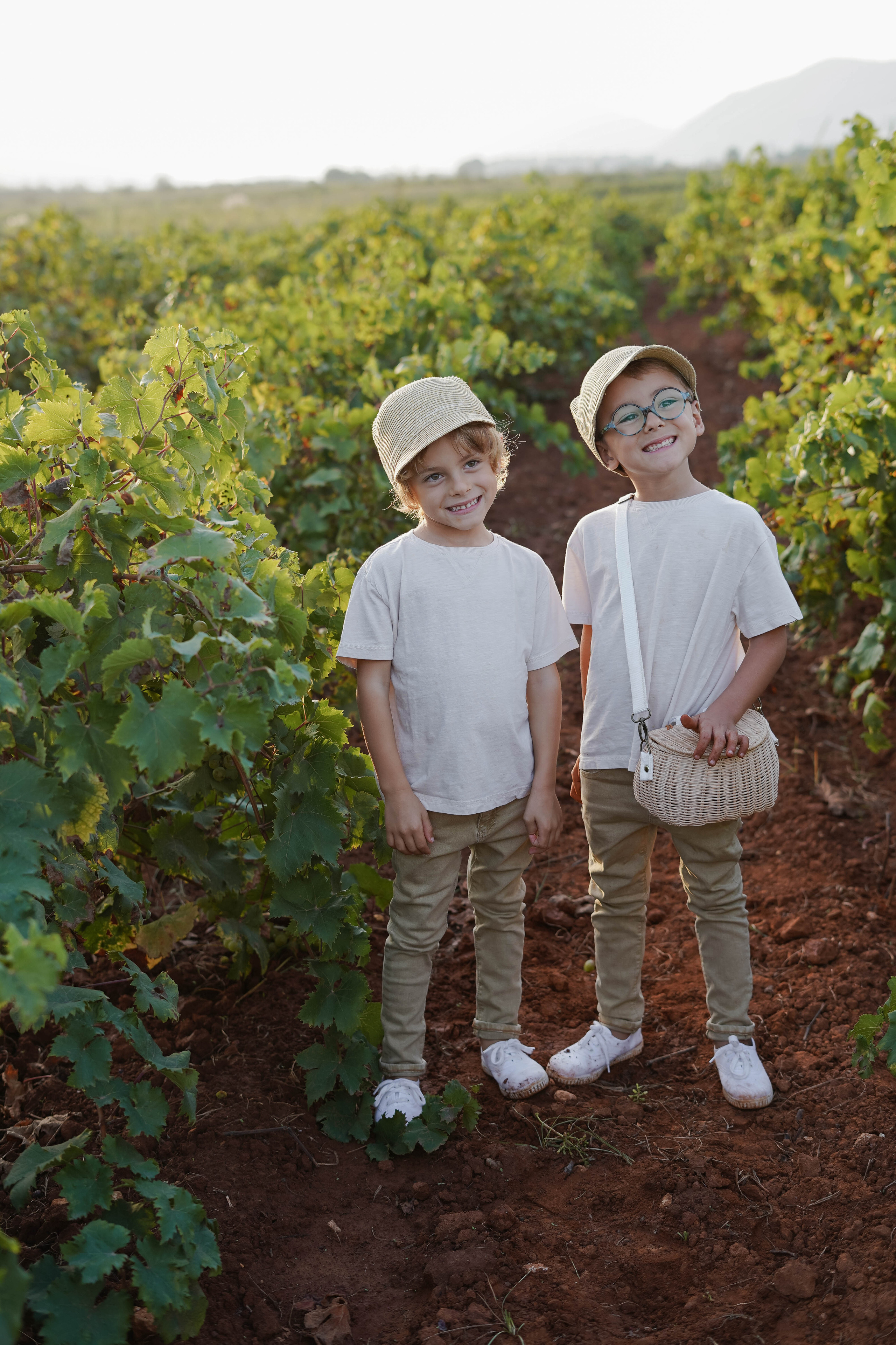 Семейная фотосессия в виноградниках Испания. Индивидуальный, семейный, свадебный фотограф Бенидорм Диана Меметова
