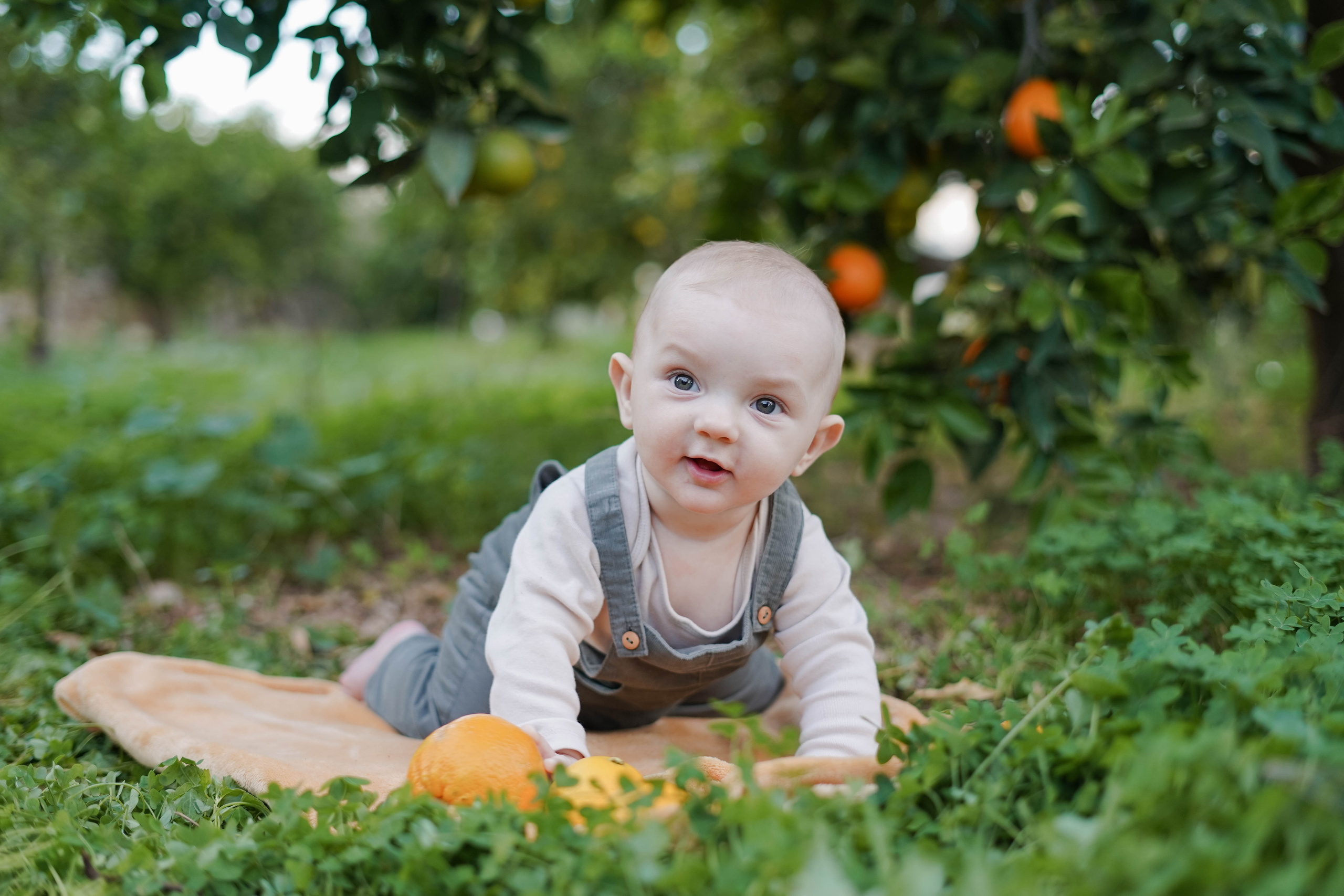 Семейная в апельсиновом саду. Индивидуальный, семейный, свадебный фотограф Бенидорм Диана Меметова
