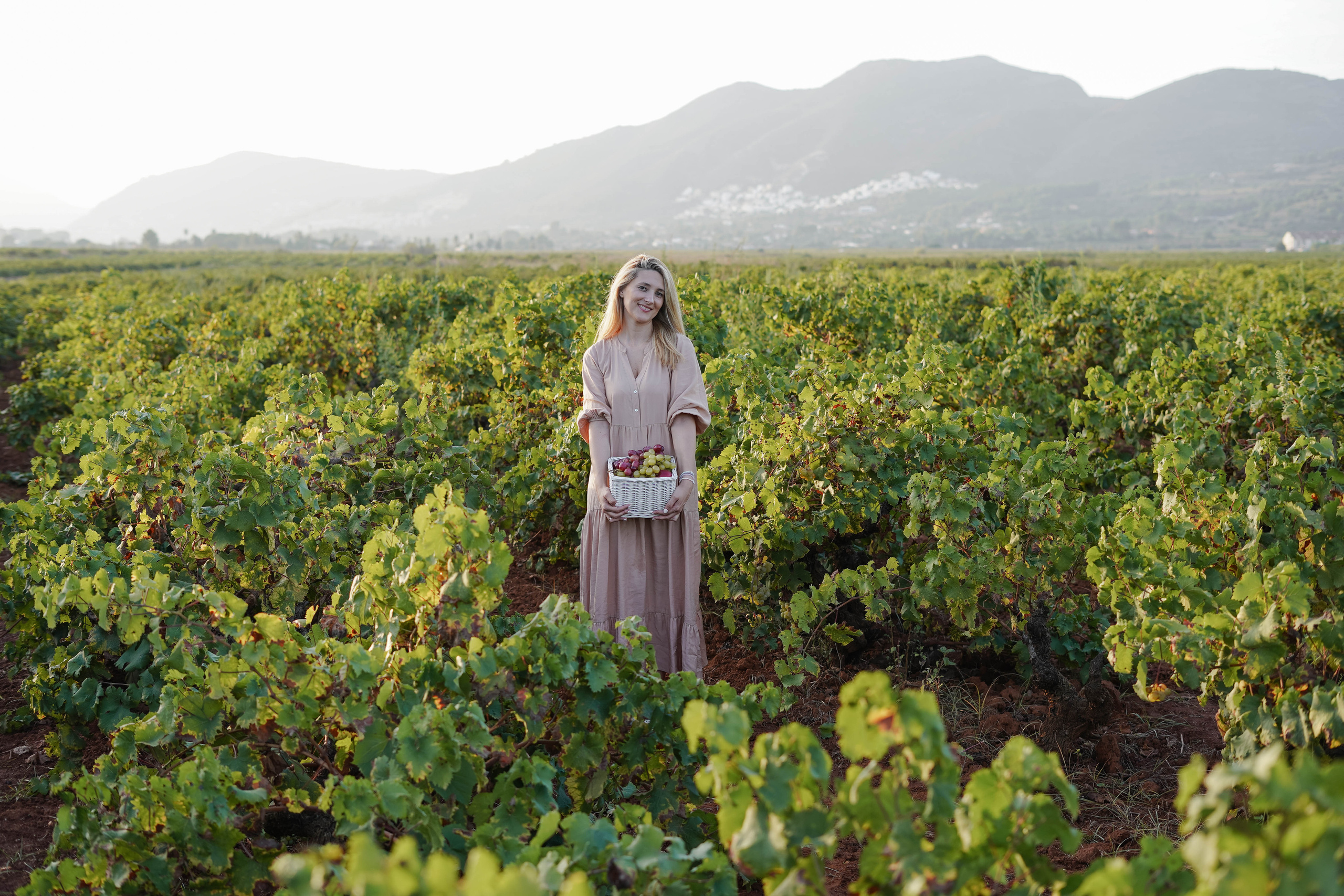 Семейная фотосессия в виноградниках Испания. Индивидуальный, семейный, свадебный фотограф Бенидорм Диана Меметова