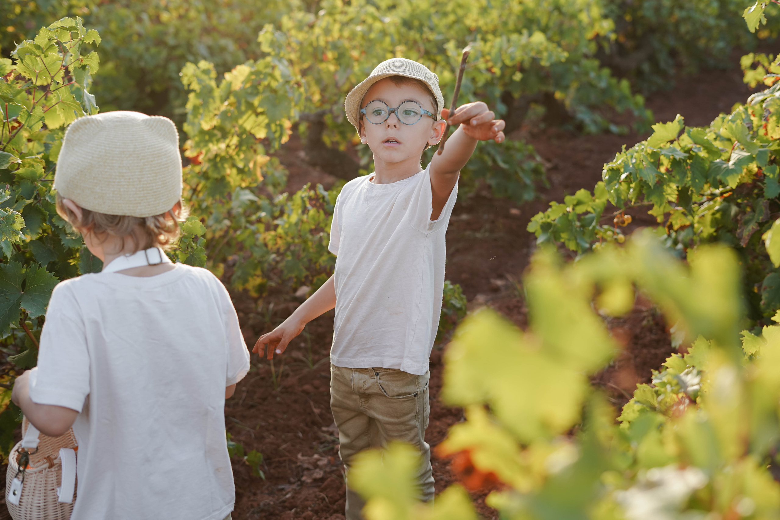 Семейная фотосессия в виноградниках Испания. Индивидуальный, семейный, свадебный фотограф Бенидорм Диана Меметова