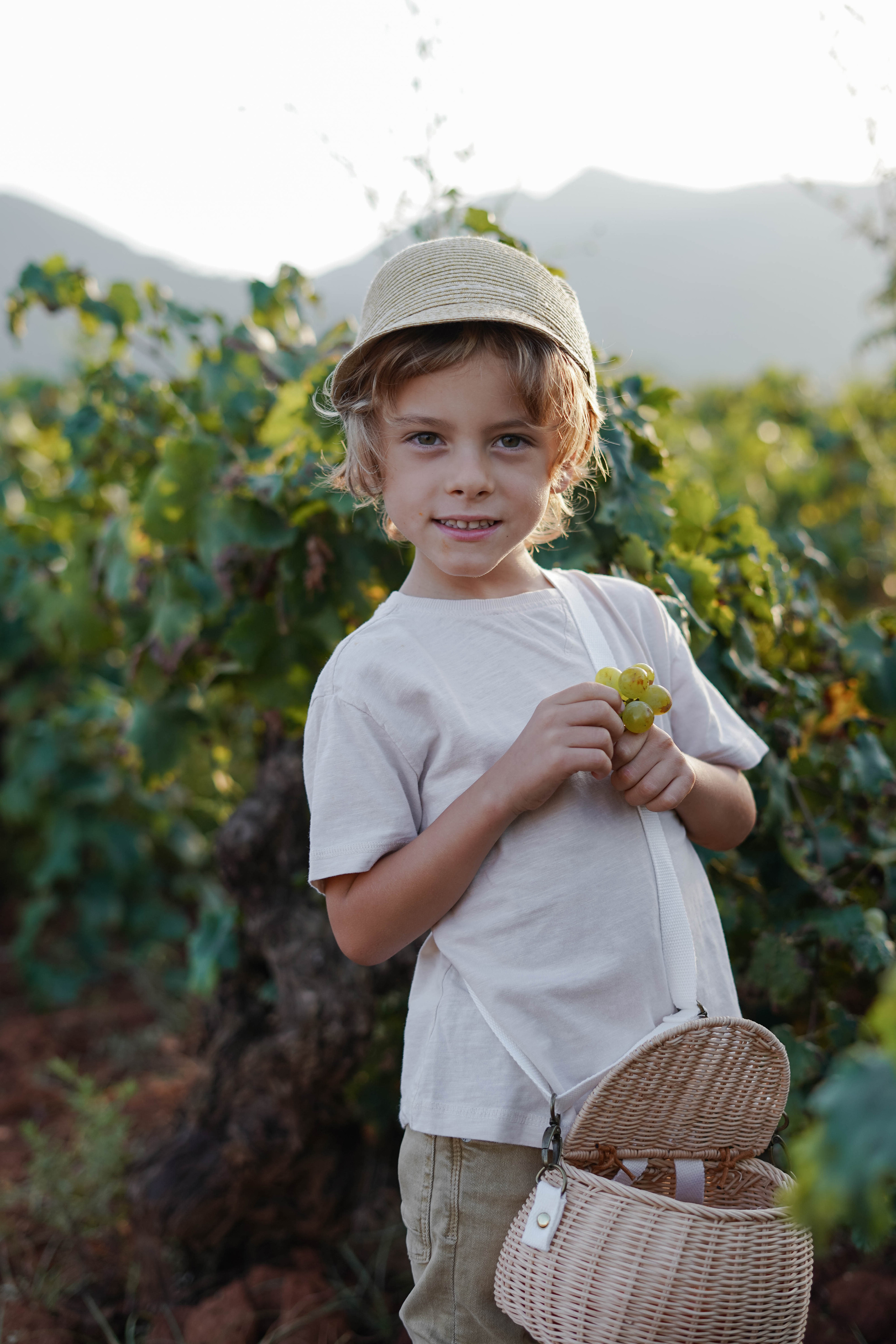 Семейная фотосессия в виноградниках Испания. Индивидуальный, семейный, свадебный фотограф Бенидорм Диана Меметова