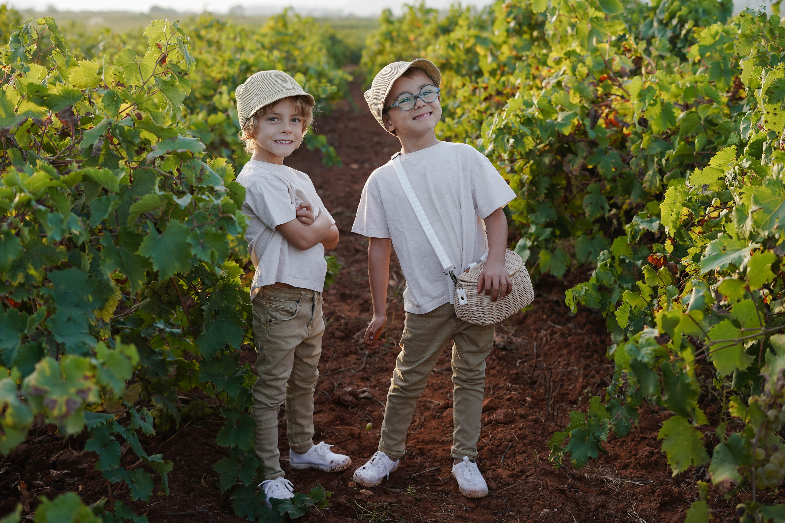Семейная фотосессия в виноградниках Испания. Индивидуальный, семейный, свадебный фотограф Бенидорм Диана Меметова