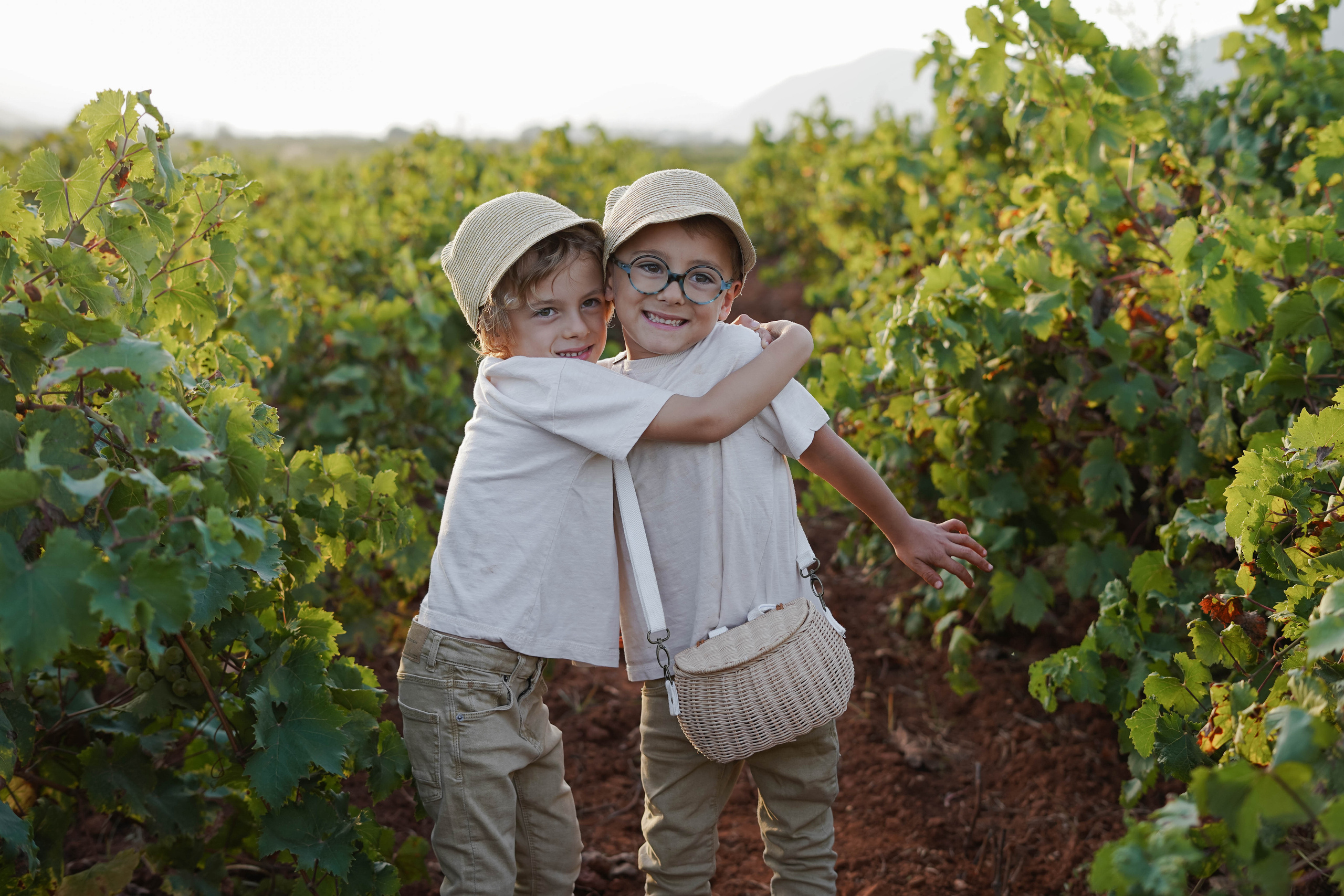 Семейная фотосессия в виноградниках Испания. Индивидуальный, семейный, свадебный фотограф Бенидорм Диана Меметова