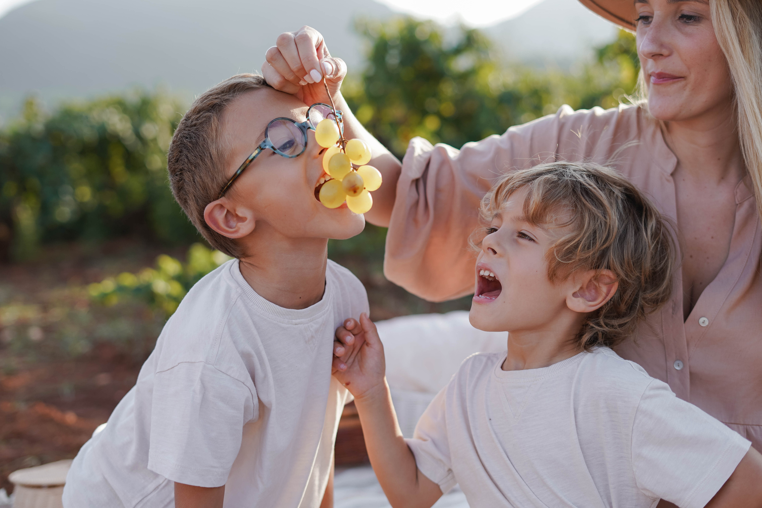 Семейная фотосессия в виноградниках Испания. Индивидуальный, семейный, свадебный фотограф Бенидорм Диана Меметова