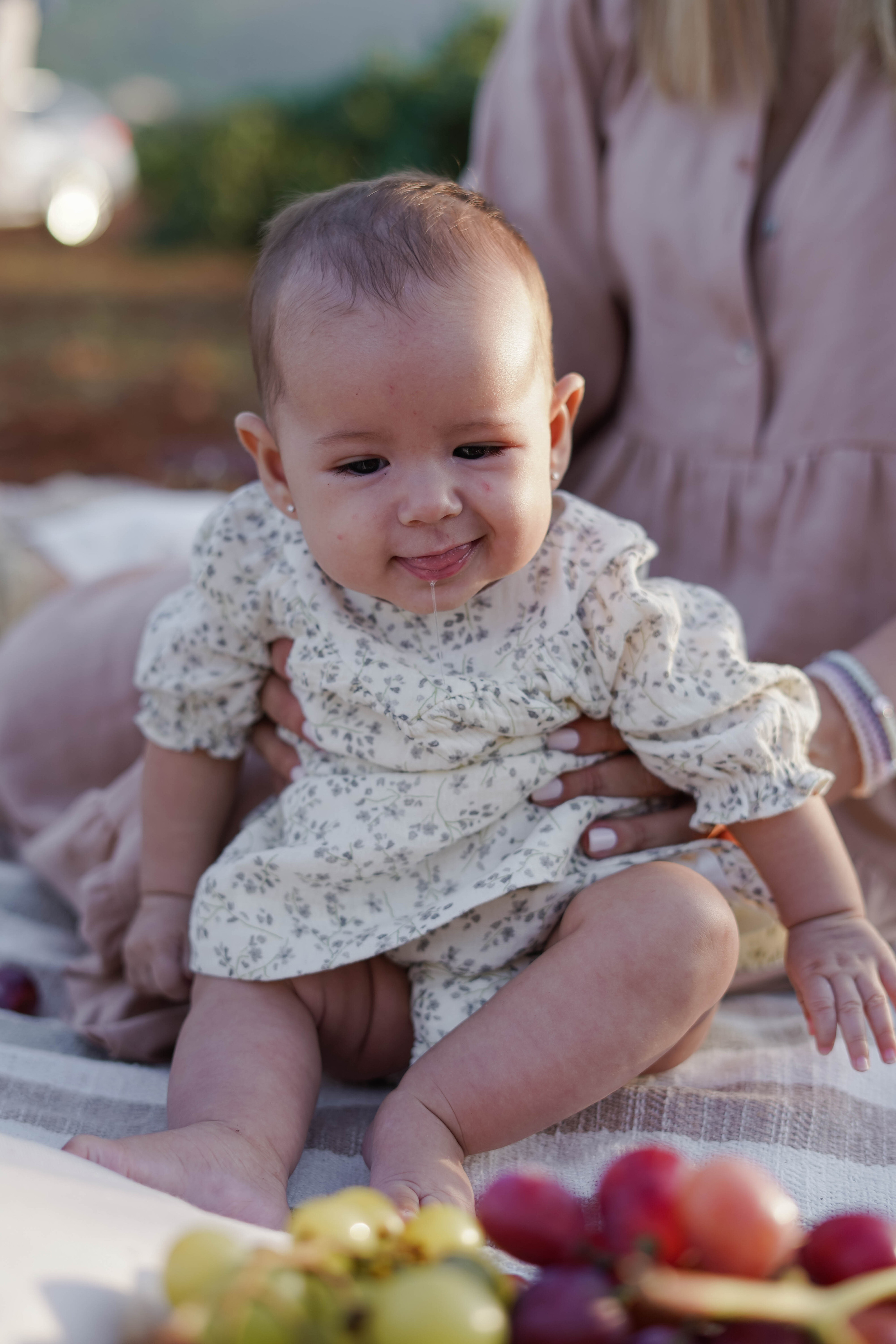 Семейная фотосессия в виноградниках Испания. Индивидуальный, семейный, свадебный фотограф Бенидорм Диана Меметова