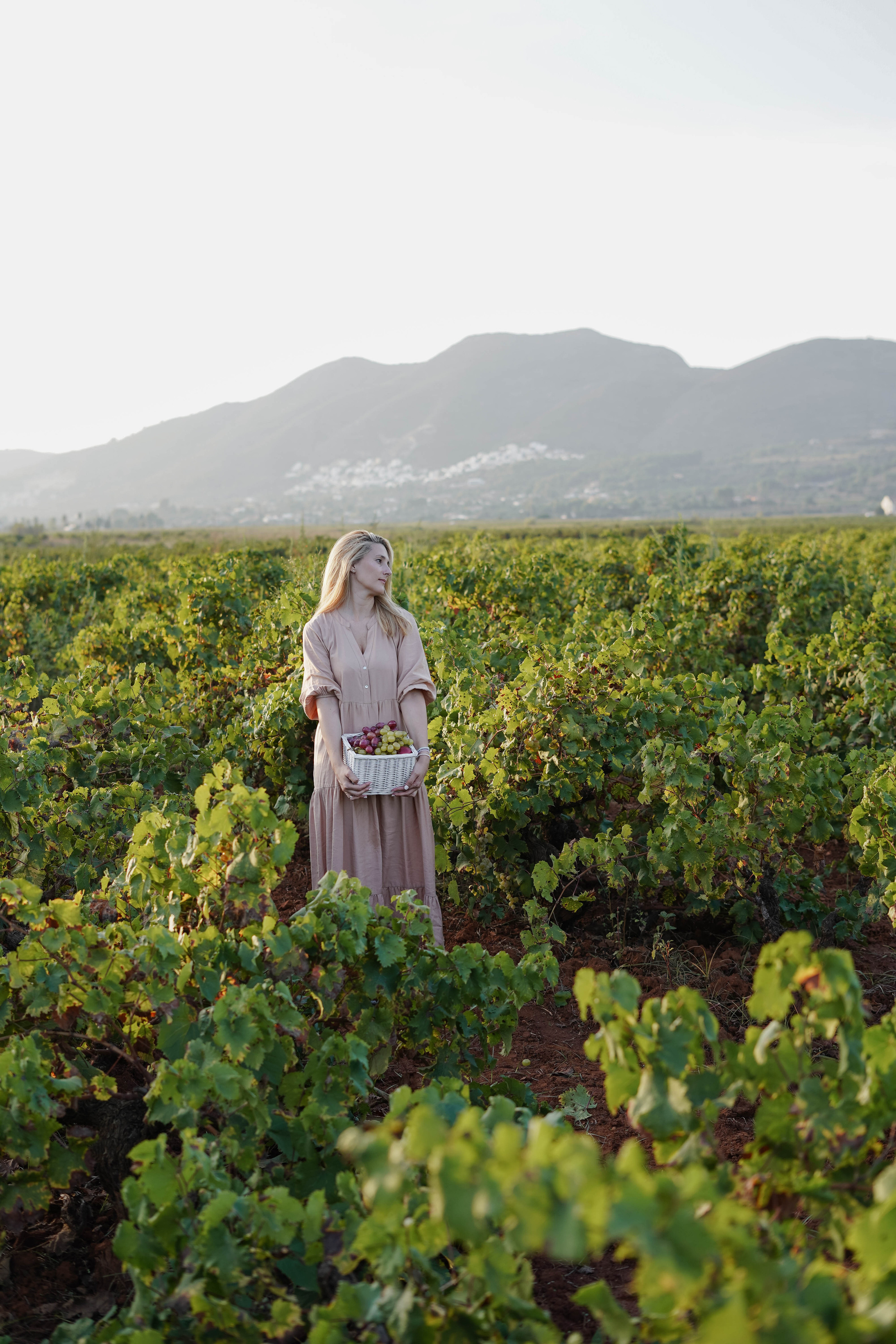 Семейная фотосессия в виноградниках Испания. Индивидуальный, семейный, свадебный фотограф Бенидорм Диана Меметова