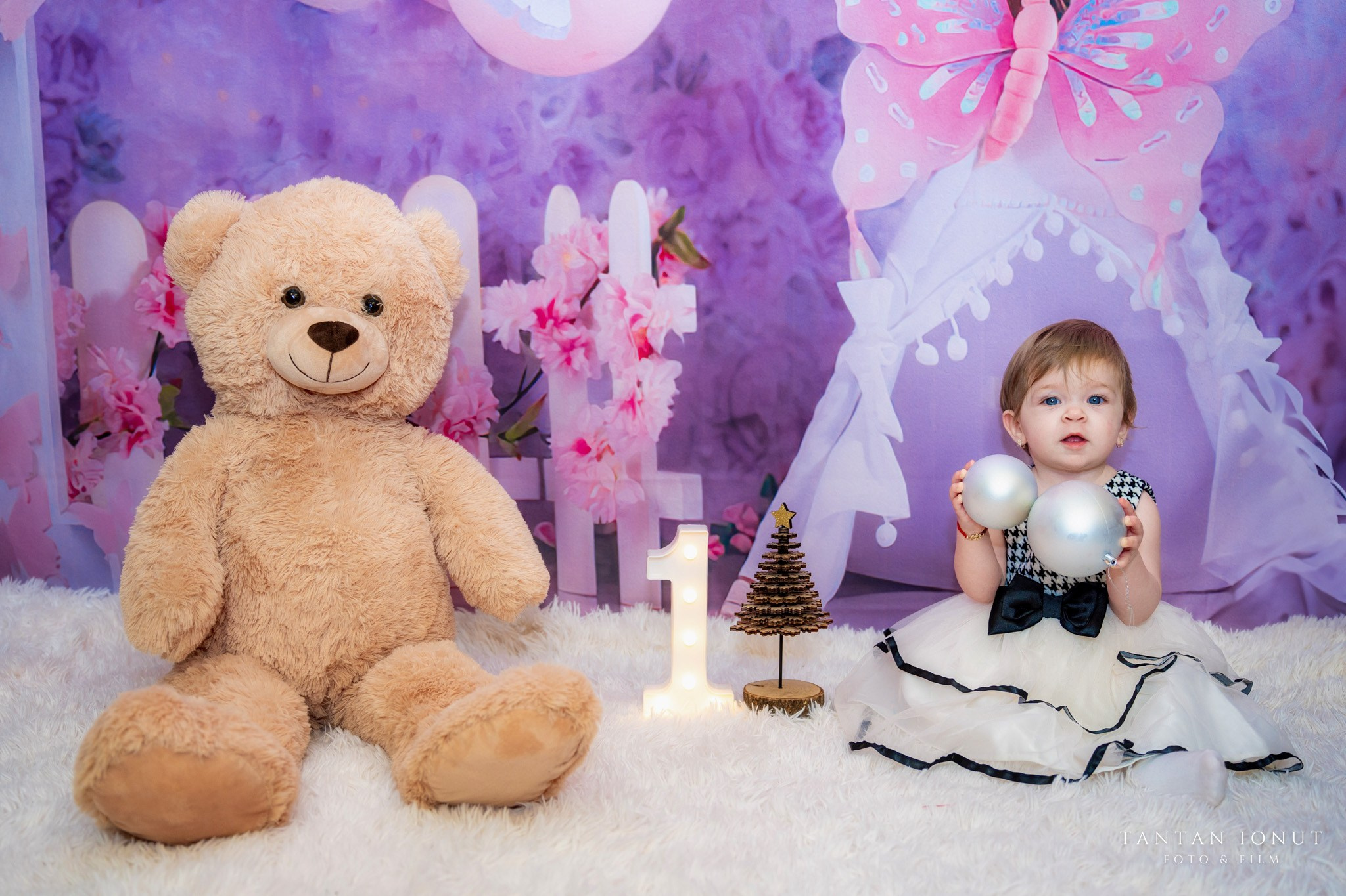 Sedinta foto Smash The Cake 1 An Sofia. TANTAN IONUT FOTO & FILM