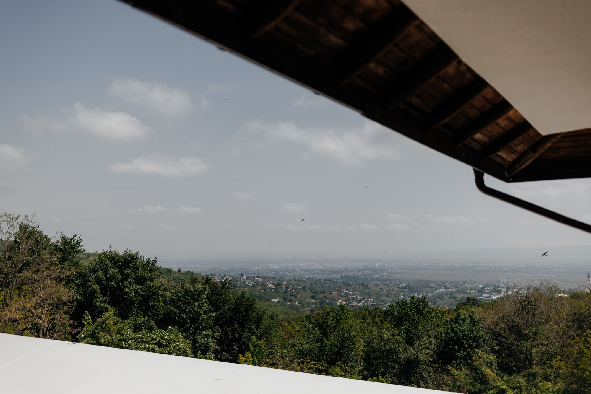Andrei si Adelina. Fotograf și videograf de nuntă R. Moldova, Romania