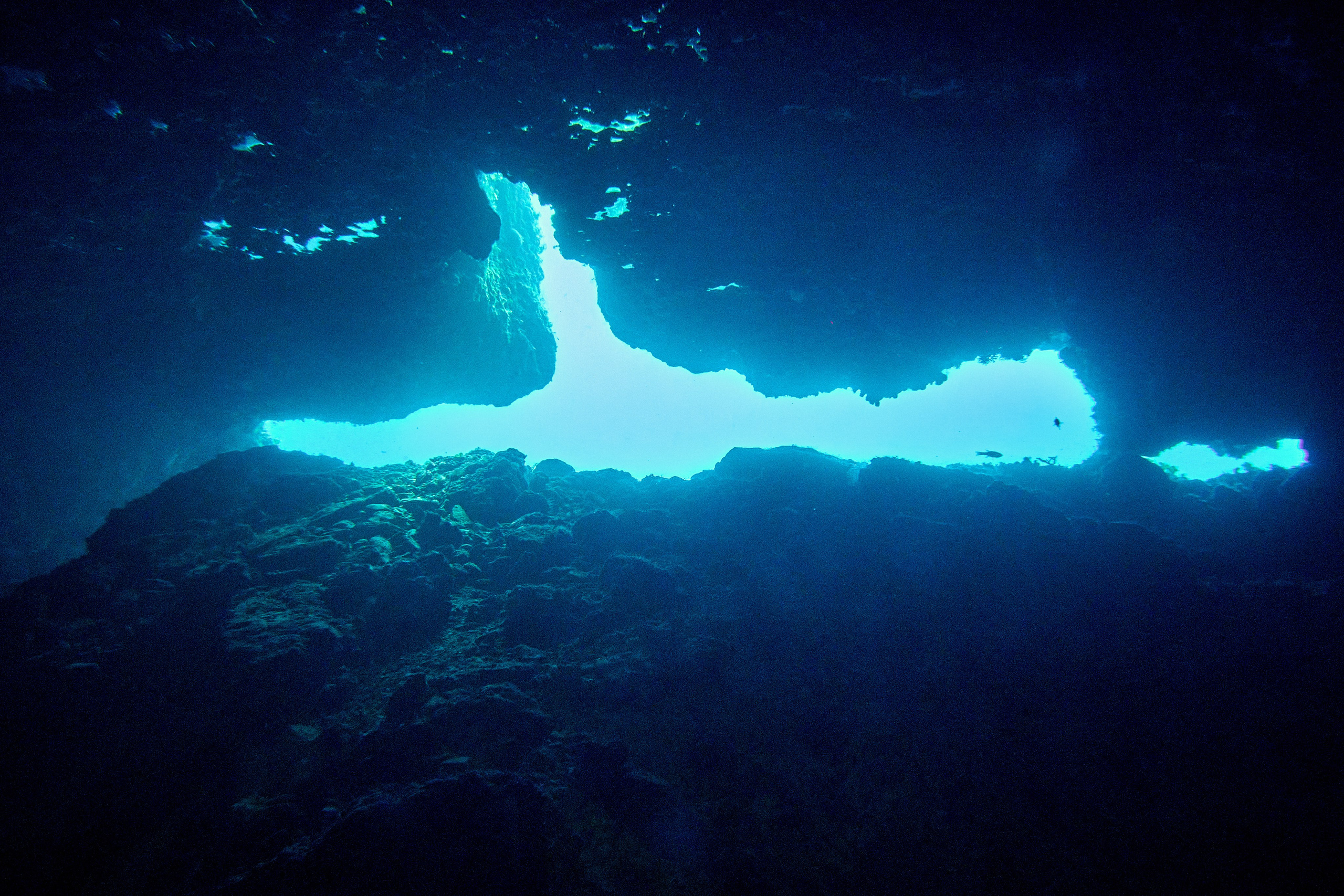 Podwodny fotograf - Andriej Szypilow - underwater photography. Tajemnica - wielka, głęboka i wszechobecna - to jest ta jakość, której przede wszystkim szukam w fotografii podwodnej...