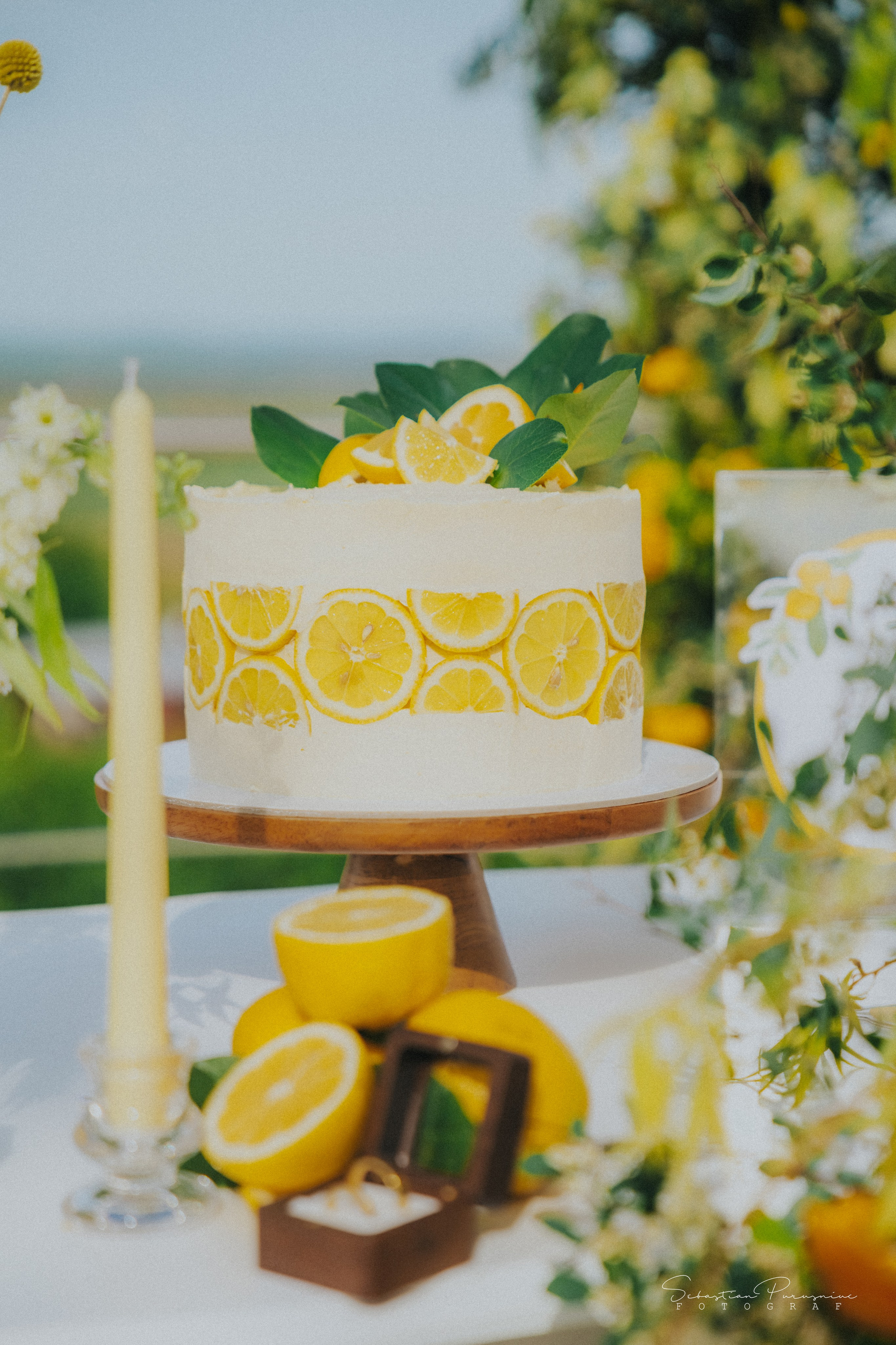 Love & Lemons. Sebastian Purusniuc Fotograf - Iasi