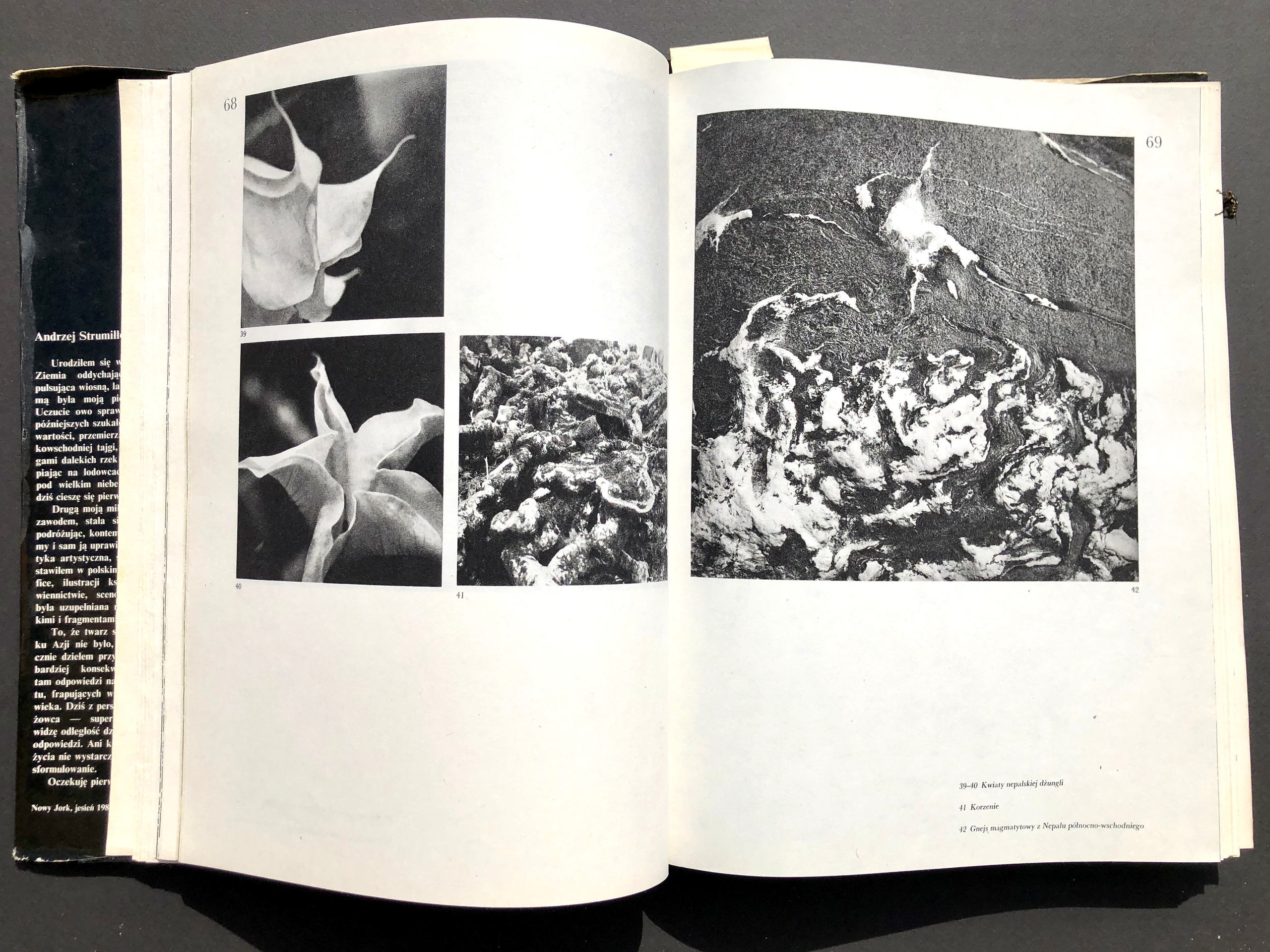 „Nepal”. Andrzej Strumiłło - Wybitny polski artysta