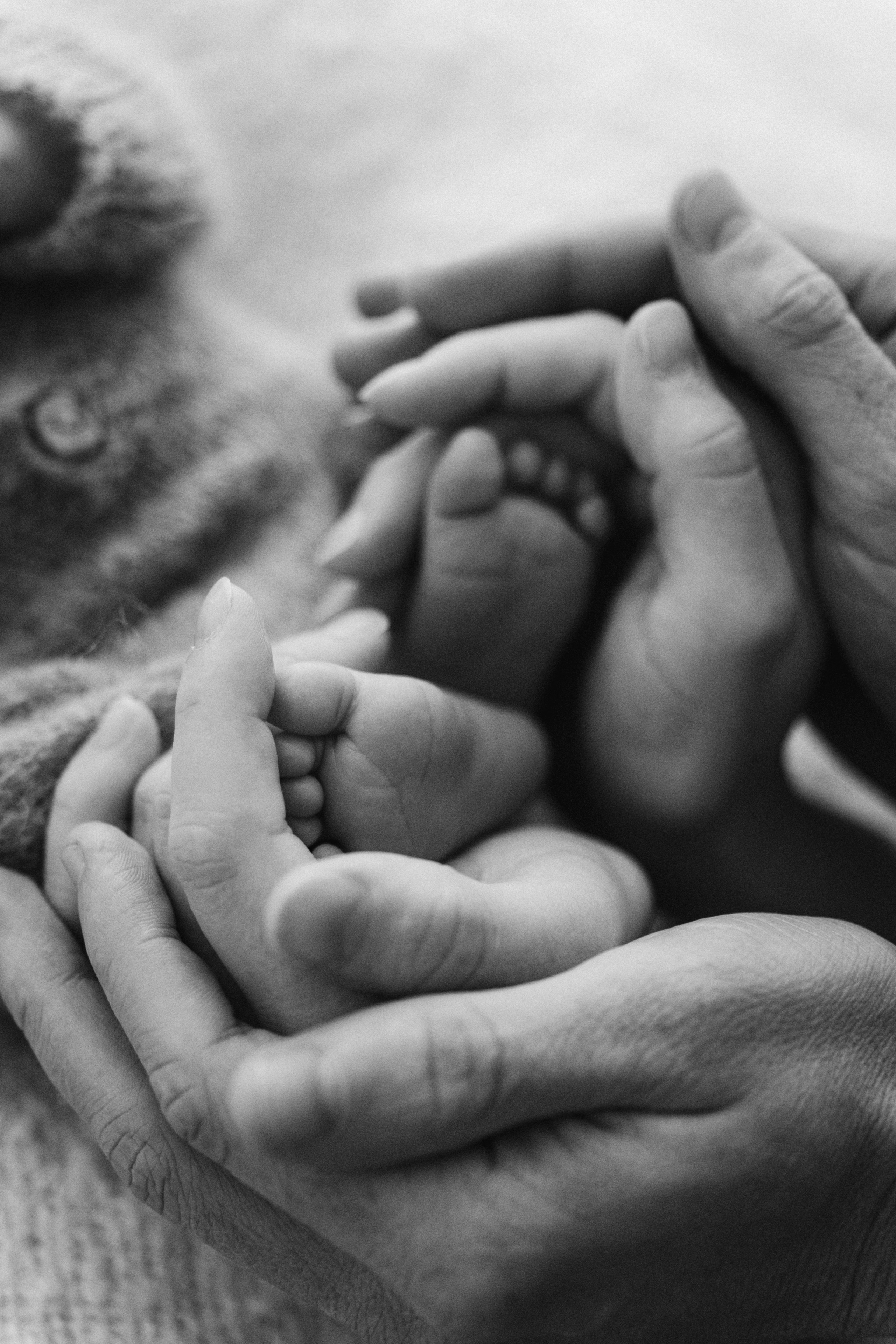 Newborn. Fotografka Andrea Hlaváčová / Karlovarský kraj / Karlovy Vary Sokolov