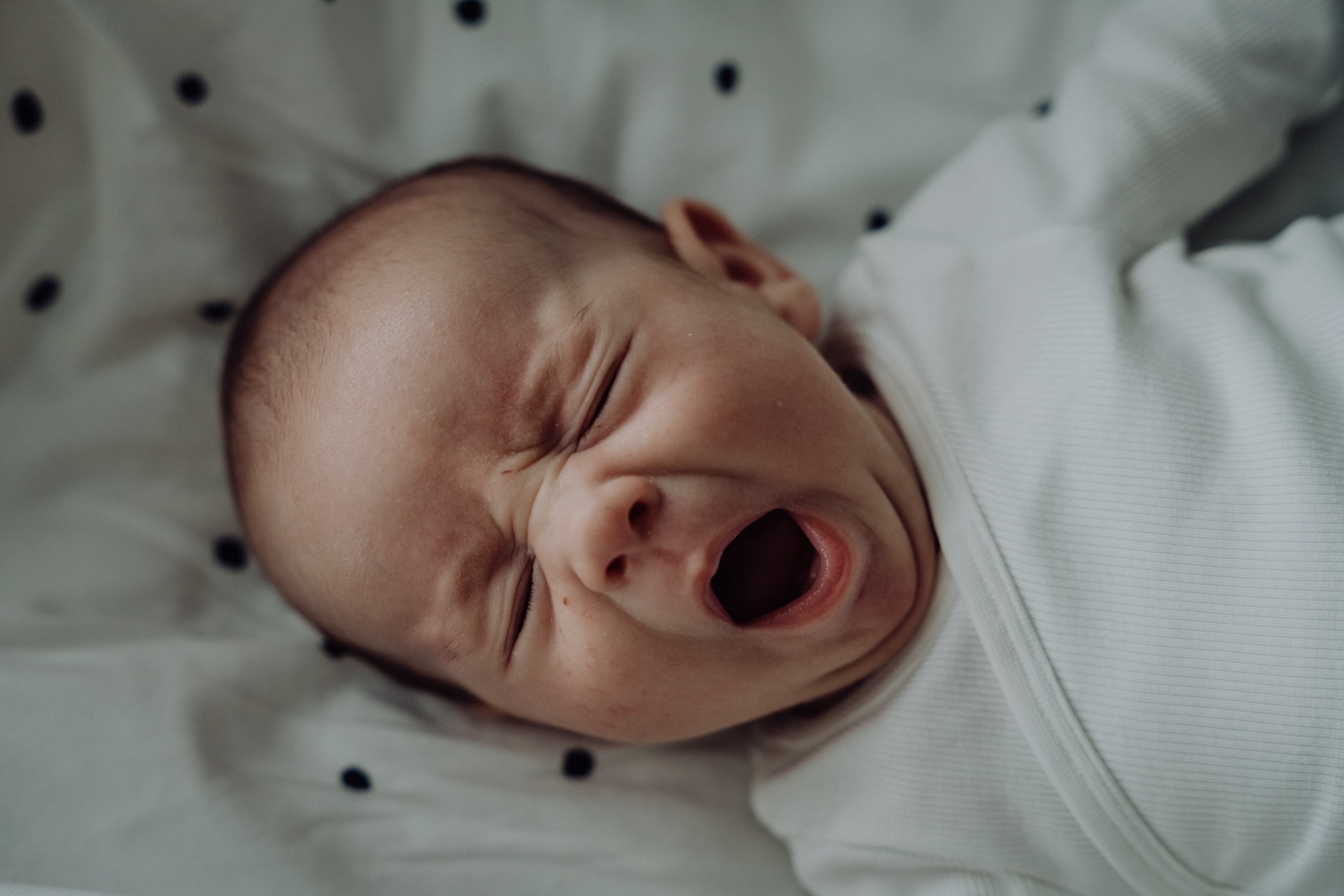 Jana & Leónidas. Rodinna fotografka Plzen Anita Dergachova