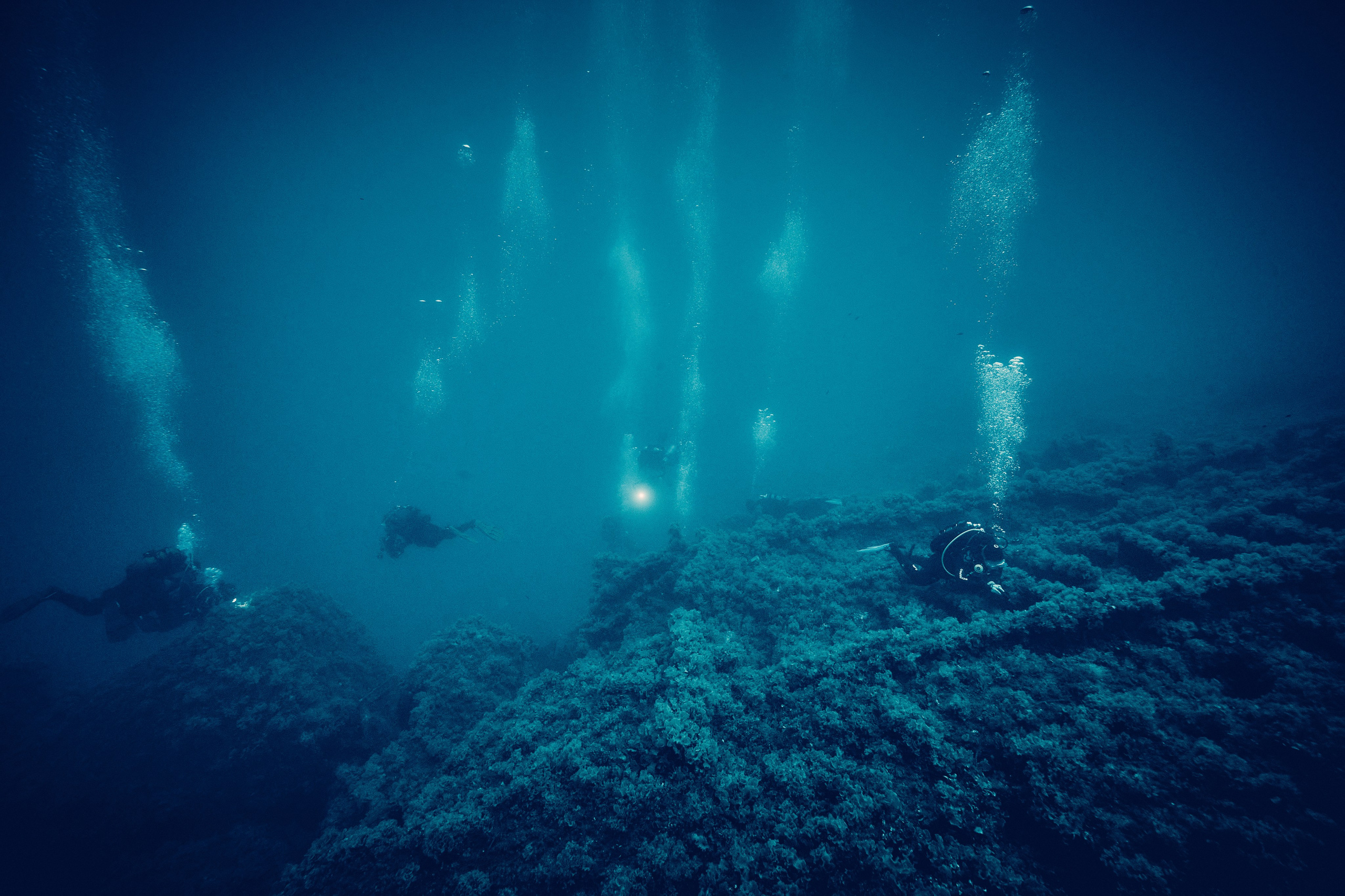 Podwodny fotograf - Andriej Szypilow - underwater photography. Tajemnica - wielka, głęboka i wszechobecna - to jest ta jakość, której przede wszystkim szukam w fotografii podwodnej...