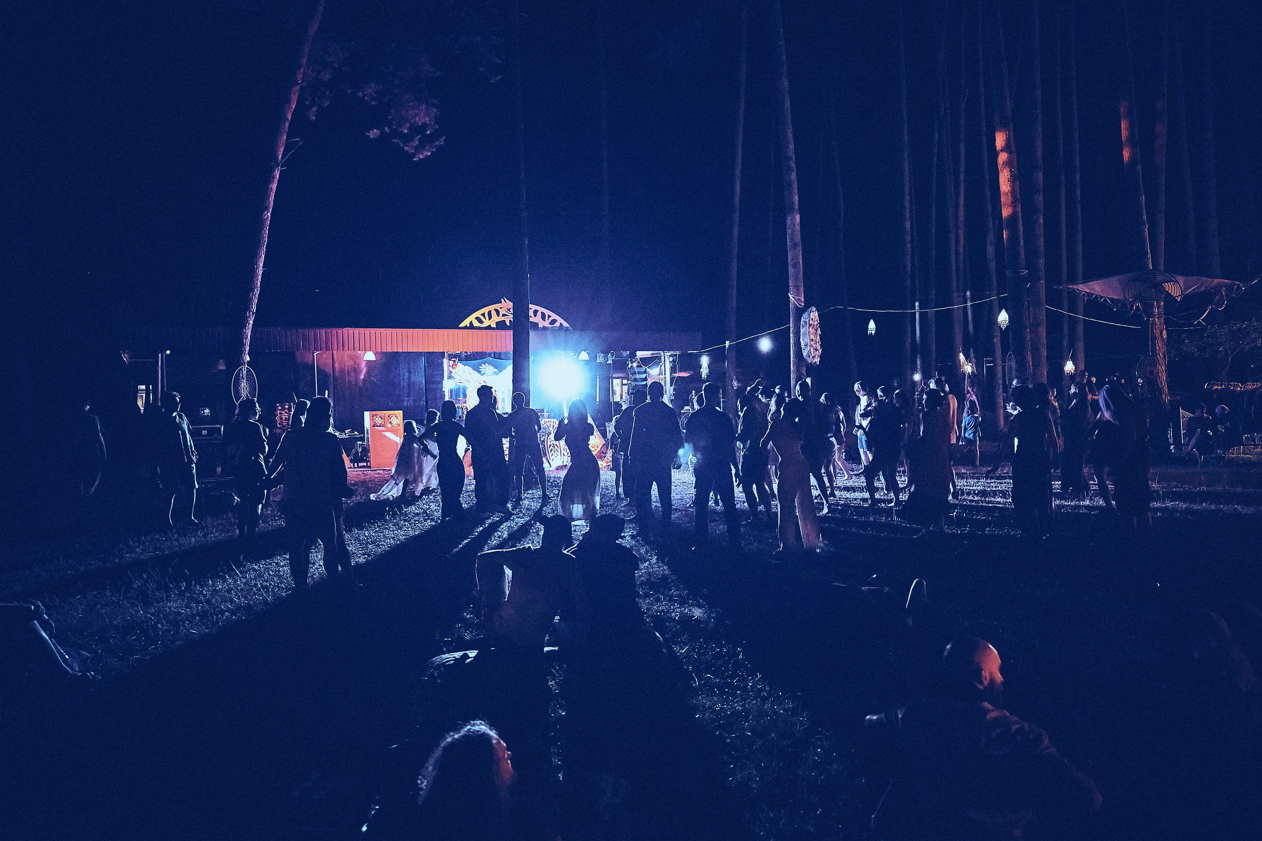 Organic-2025. Andriej Szypilow — Photography & Videography