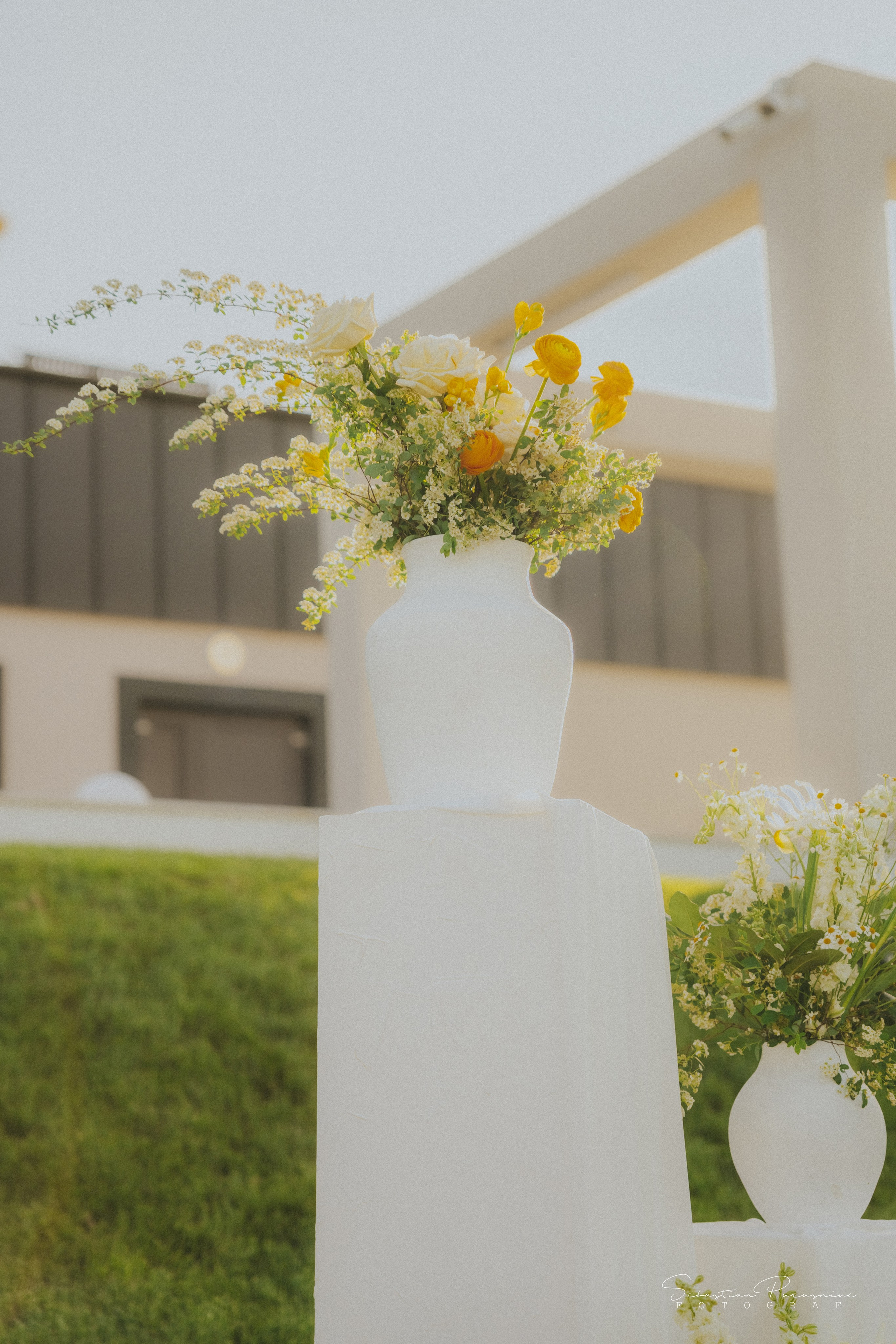 Love & Lemons. Sebastian Purusniuc Fotograf - Iasi