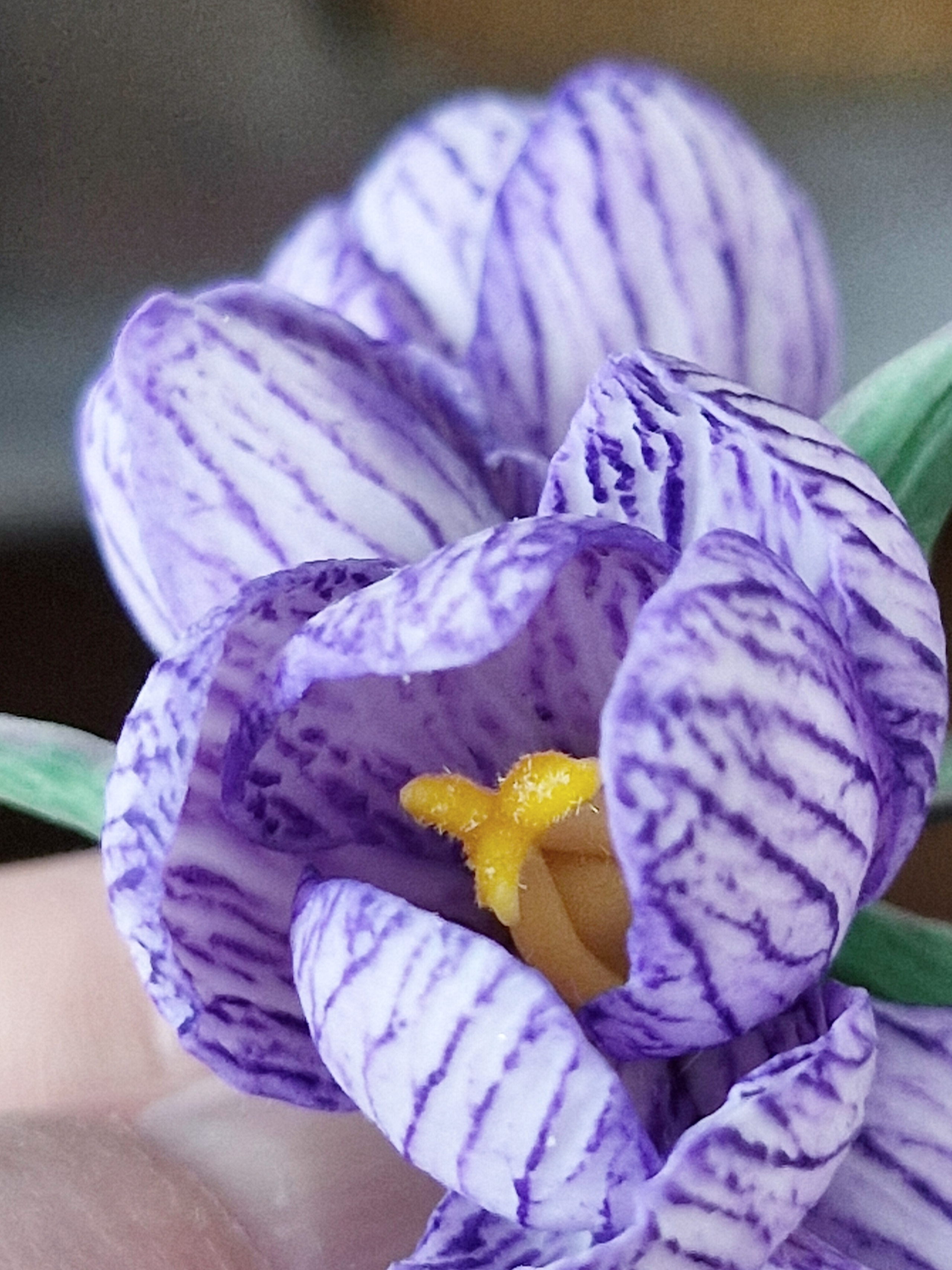 Броши с цветами / Blumen-Broschen ➜. Oksana Paul-Gardinen-Design Oksana Paul ✧ Art of Gardinen & Textile Design ✧ Polymer Clay Art & Handmade Creatures