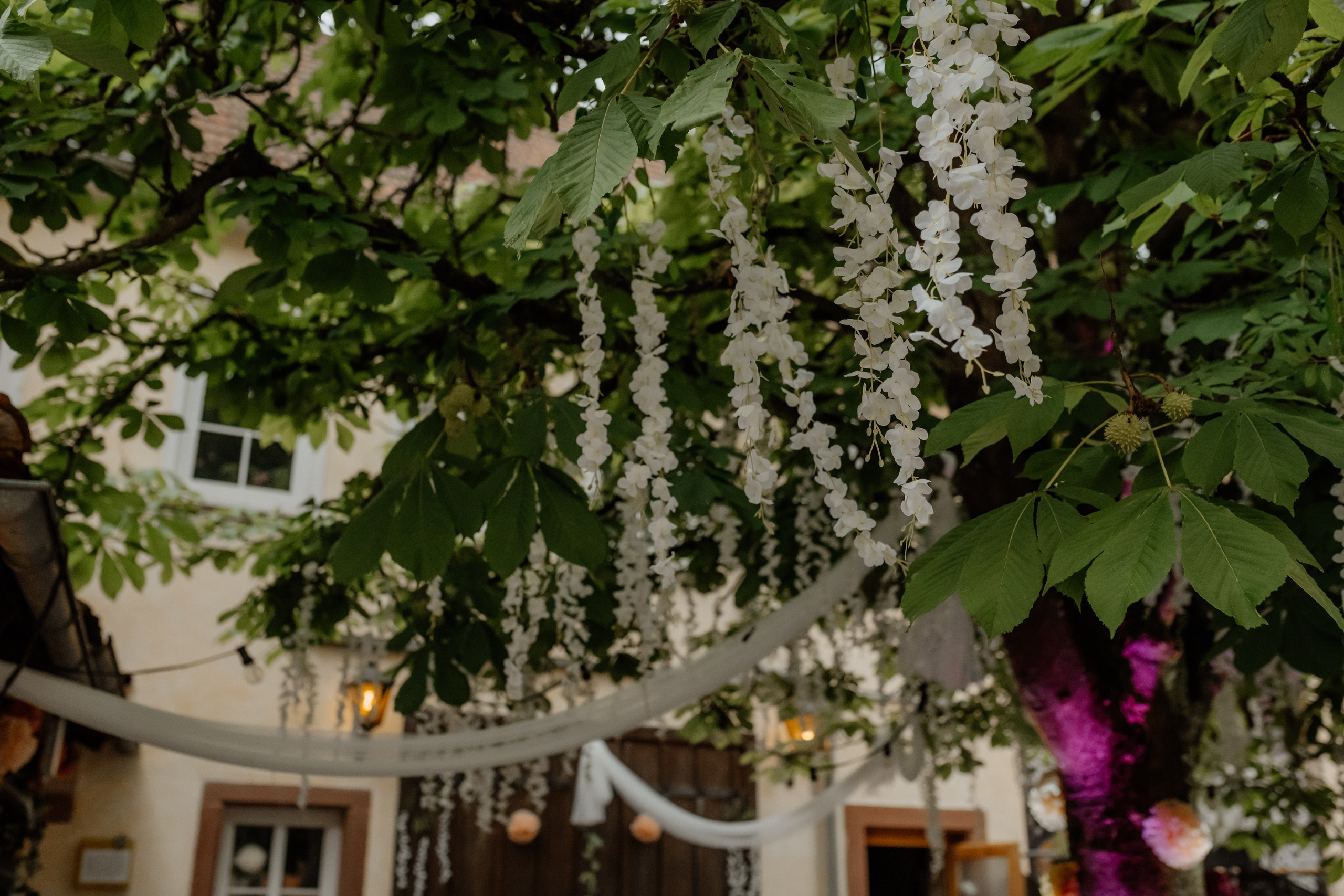Bad Mergentheim Hochzeitsfotograf