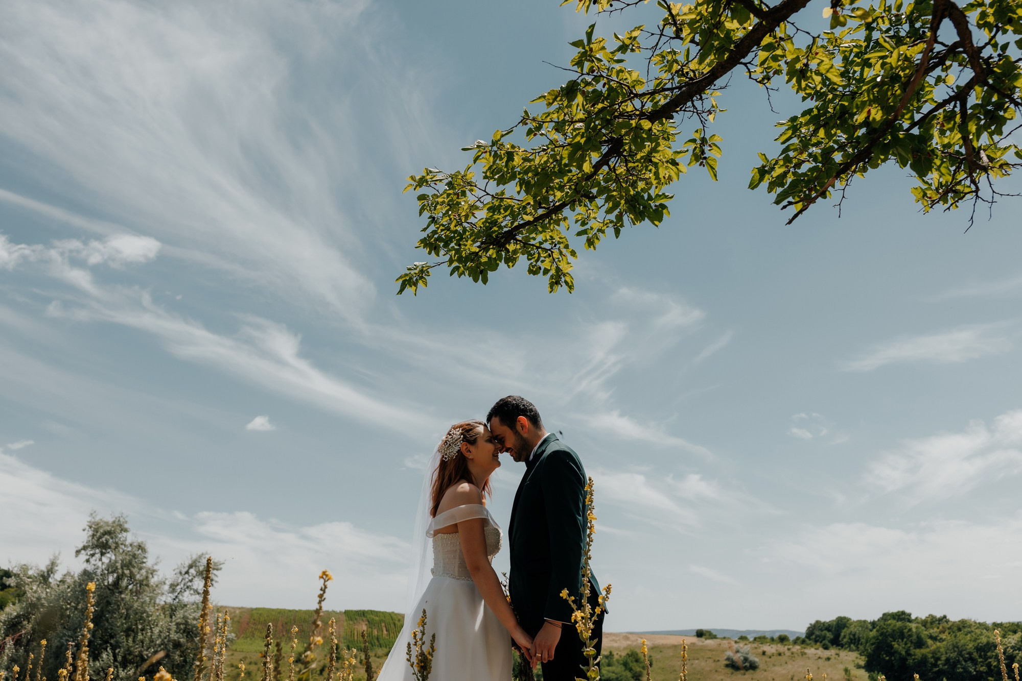 Andrei si Adelina. Fotograf și videograf de nuntă R. Moldova, Romania