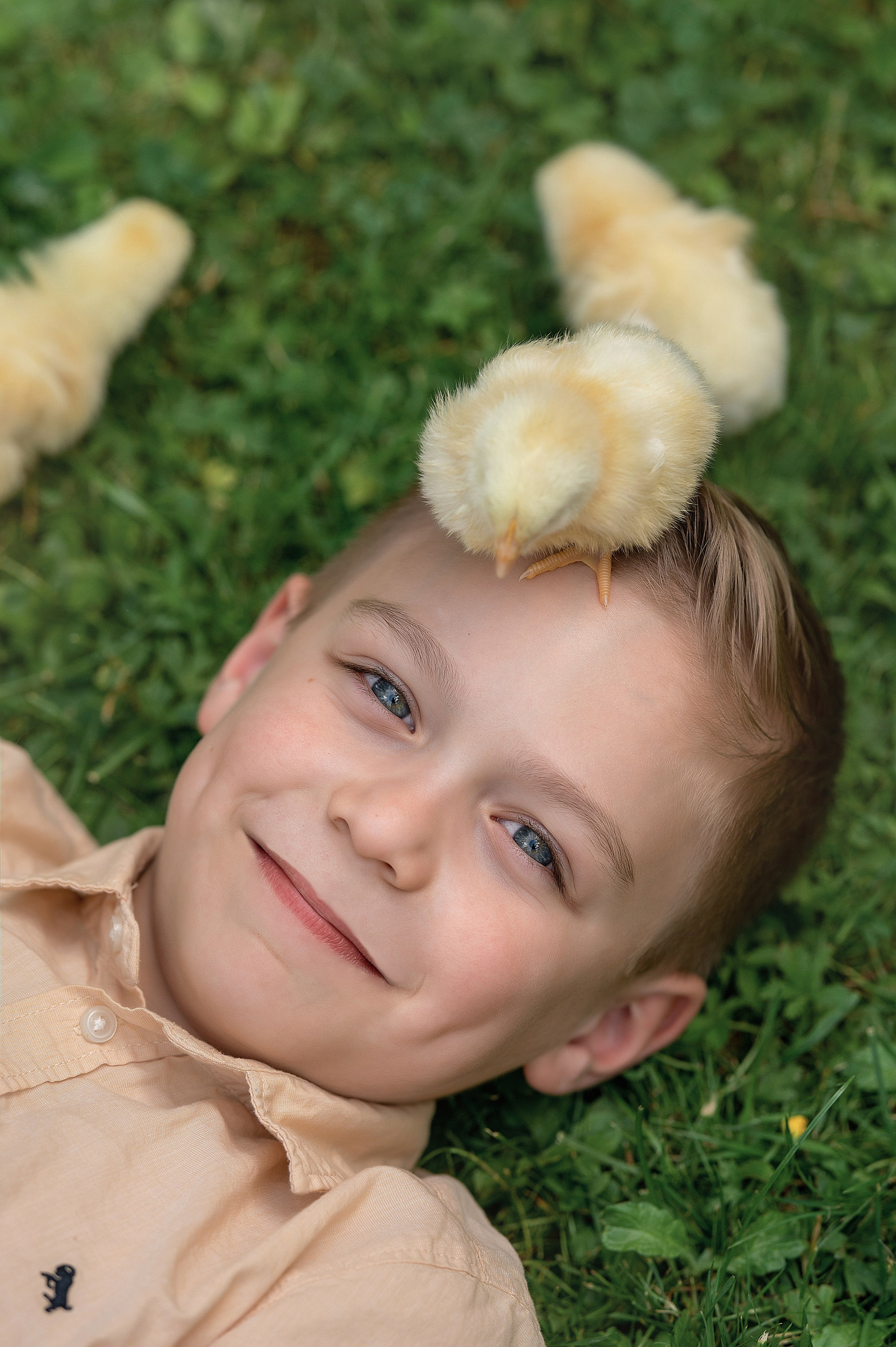 Fototag „Küken“. Newbornfotograf Kinderfotograf Ulm Familienfotograf Anastasia Neu-Ulm