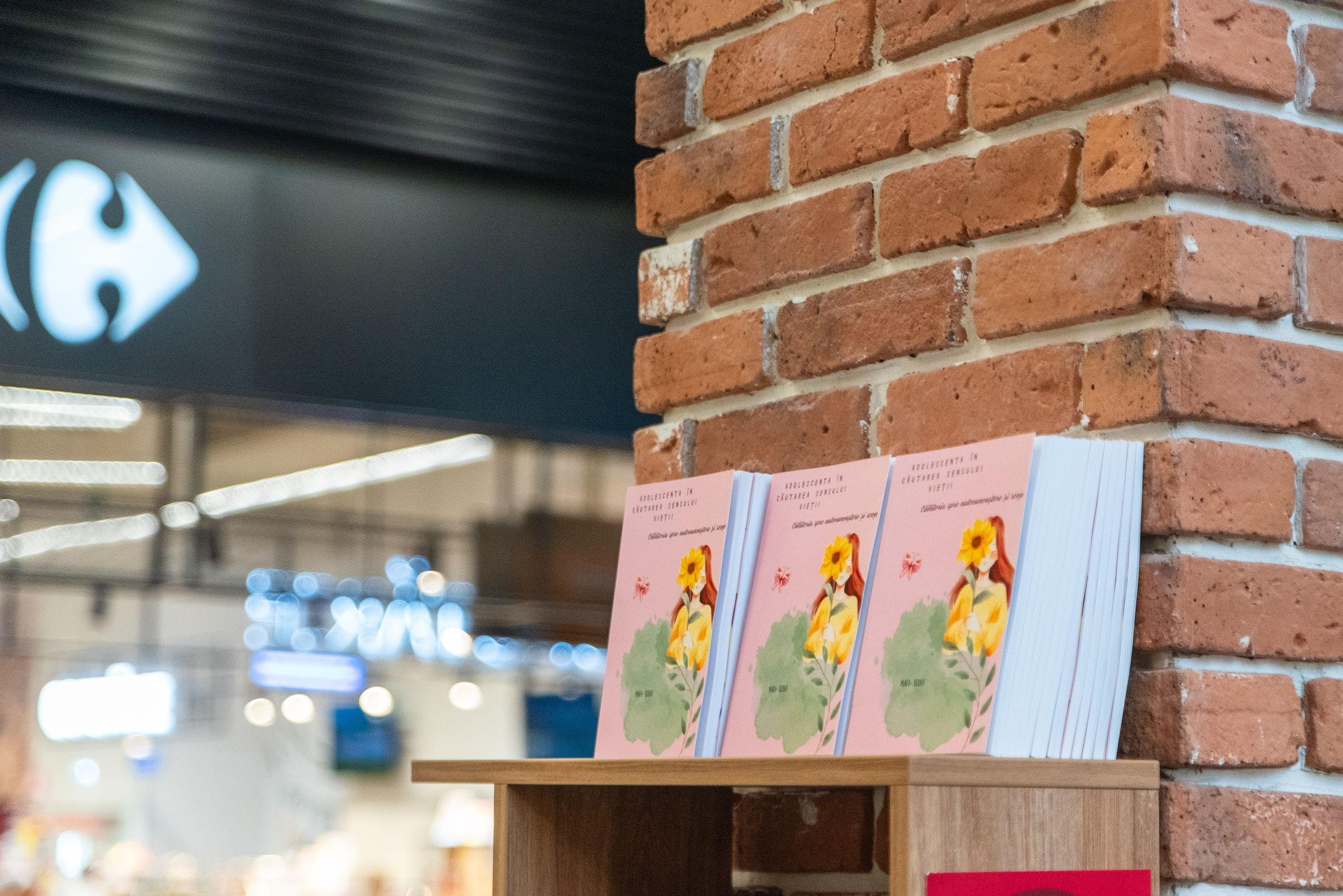 Elemente Cheie ale unei Lansări de Carte, fotograf lansare de carte, lansare de carte, fotograf corporate, lansările de carte prilej de socializare, evenimente in comunitate, promovare social media, promovare eficienta, organizare lansare de carte, fotograf profesionist, fotografie lansare de carte, bartner fotografie, celebrarea literaturii, autori de carte, carti pentru adolescenti, carti pentru copii, fotograf profesionist