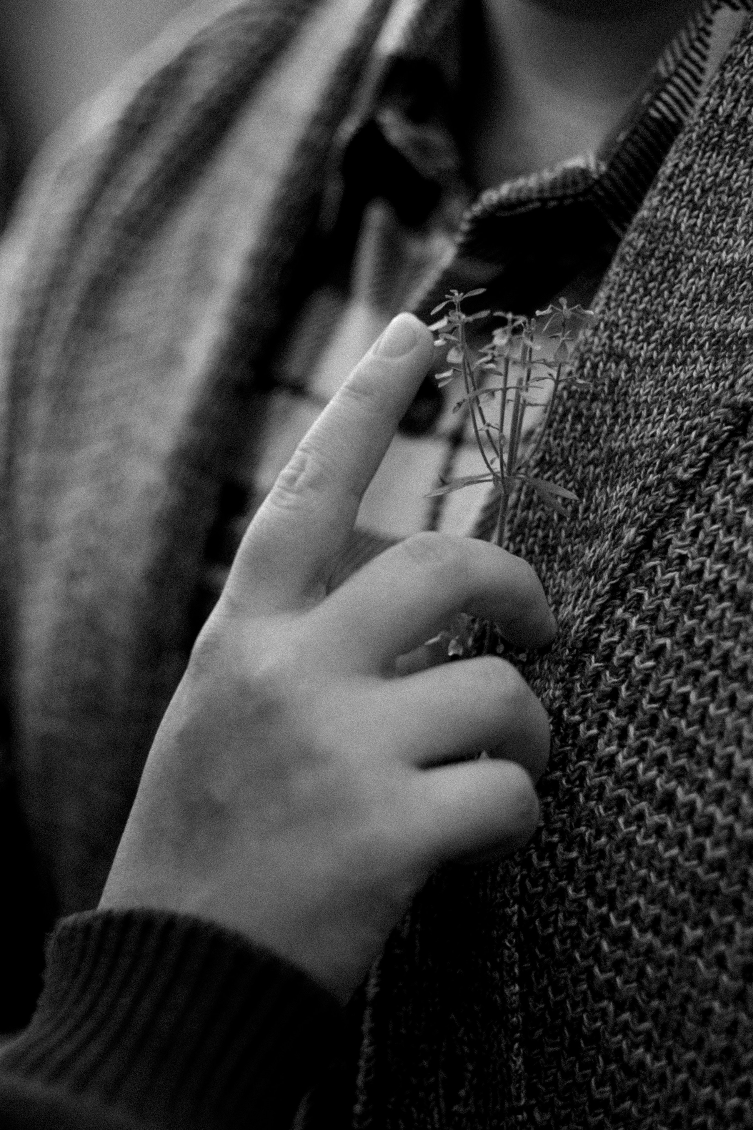 Autumn Photo Sessions at Three Lakes Park | Richmond Family & Maternity Photographer. Family Photographer Anna Dobrovolskaia | Richmond, VA