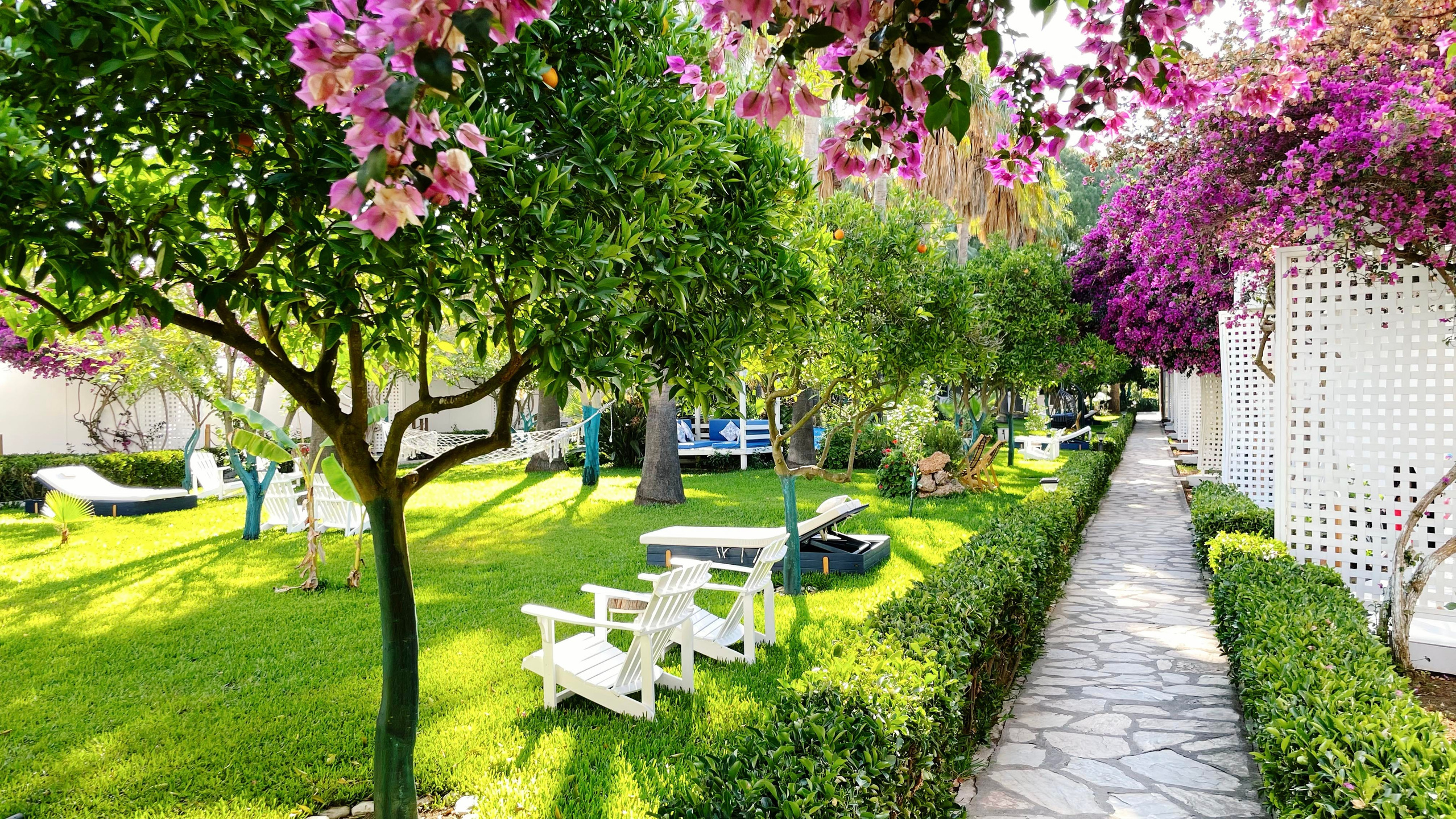 Йога-Ретрит в Турции