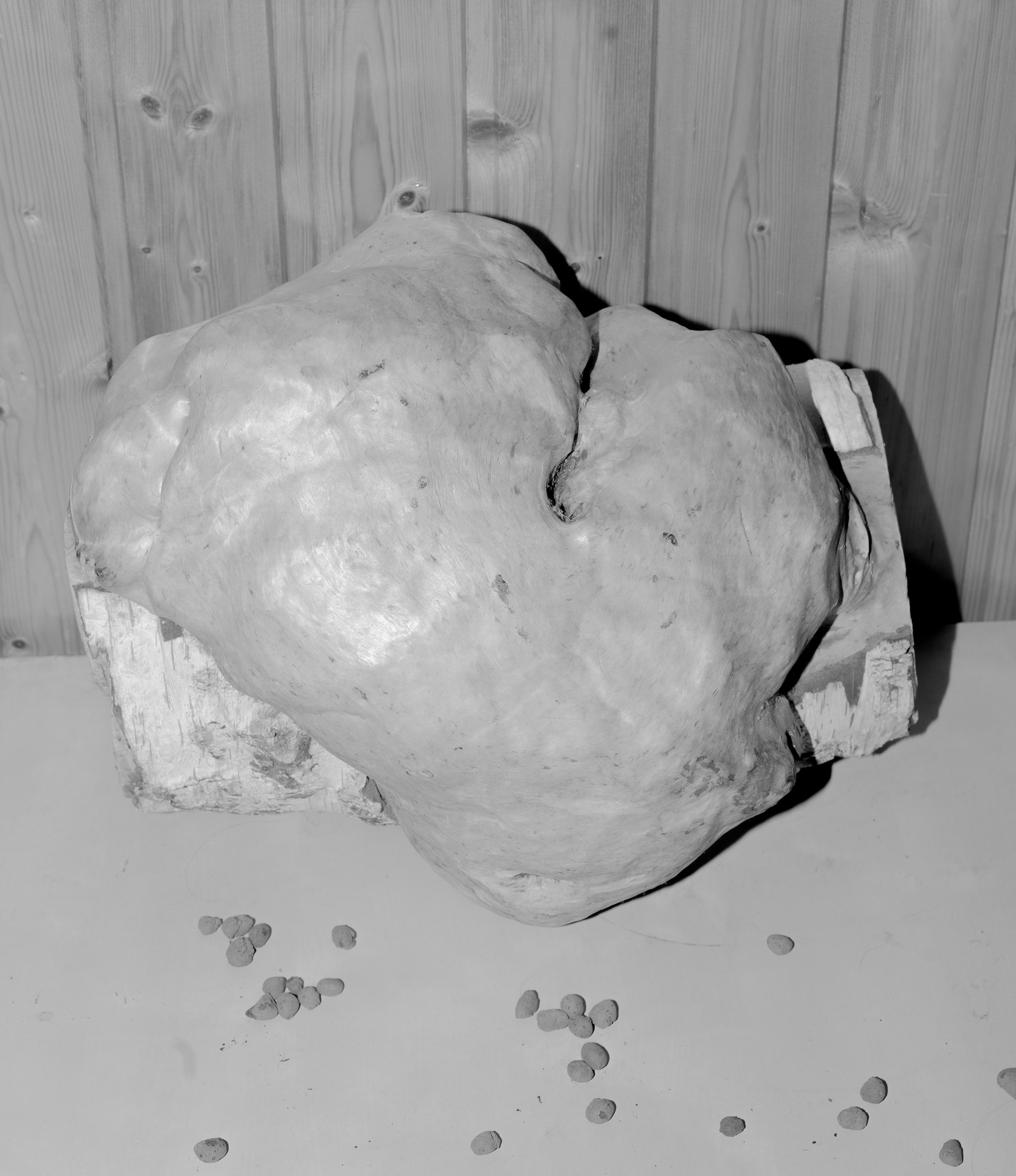 COME INSIDE. Irène Shkoda