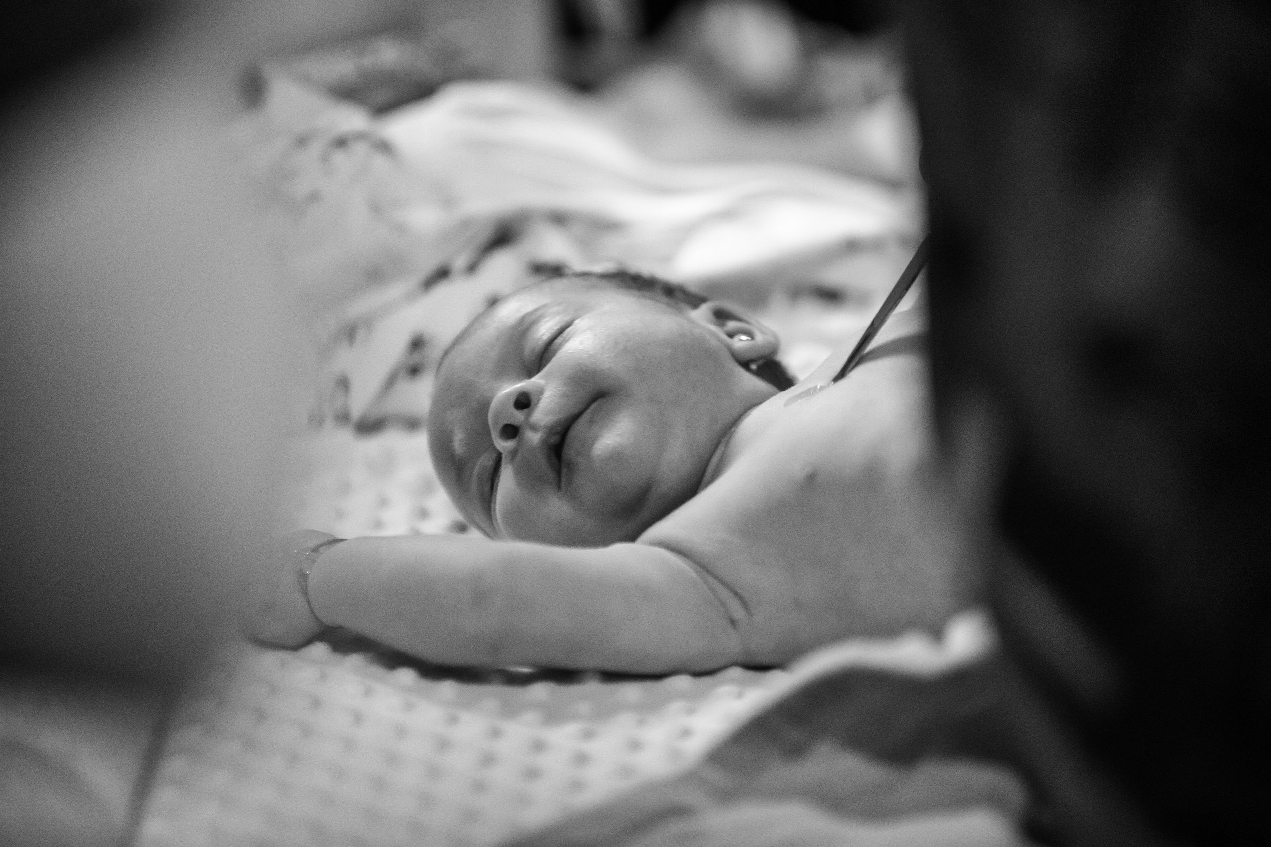 “Bebeluș botezat în biserică, ținut în brațe de nași” • “Detaliu cu lumânarea de botez decorată cu flori albe” • “Părinți emoționați alături de copilul lor la ceremonia de botez” • “Masa festivă de botez cu decor tematic și tort personalizat” • “Momentul în care preotul toarnă apă sfințită pe fruntea bebelușului” “Bebeluș în rochie albă de botez, zâmbind în brațele mamei” • “Detaliu cu cruciulița de botez așezată pe o pernă de satin” • “Părinți și nași aprinzând lumânările în timpul ceremoniei de botez” • “Tort de botez decorat cu figurine tematice și numele copilului” • “Copil botezat dormind liniștit în pătuțul decorat festiv” • “Momentul în care preotul binecuvântează copilul în fața altarului” • “Invitați adunându-se în jurul mesei festive la petrecerea de botez” • “Bebeluș ținând în mână o jucărie personalizată primită la botez” • “Familie fericită pozând împreună după ceremonia de botez” • “Decor tematic cu baloane și flori la locația petrecerii de botez” fotograf Botoșani fotograf evenimente fotograf botez Alin Chirila fotograf alinofotostudio,- Preotul ținându-l pe micuțul Mathias Gabriel la botez, în biserica Înălțarea Domnului, Copălău - Detalii de la botezul lui Mathias – lumânare, trusou și icoană - Familia lui Mathias Gabriel alături de micuț, în ziua botezului - Portret emoționant cu mama și bebelușul în brațe, în biserică,fotograf profesionist evenimente Botoșani, Iași, Suceava, Fălticeni, Bacău, Pașcani, Roman - AlinoFotoStudio by Alin Chirilă - servicii foto nuntă, botez, cununie, ședințe foto creative, albume personalizate, fotografii emoționante și calitative pentru cele mai importante momente din viață,fotograf nuntă Botoșani Alin Chirilă, ședință foto botez Iași - AlinoFotoStudio, servicii fotograf profesionist evenimente Suceava, fotograf cununie civilă Fălticeni - Alin Chirilă, album foto nuntă personalizat Bacău.“Bebeluș botezat în biserică, ținut în brațe de nași” • “Detaliu cu lumânarea de botez decorată cu flori albe” • “Părinți emoționați alături de copilul lor la ceremonia de botez” • “Masa festivă de botez cu decor tematic și tort personalizat” • “Momentul în care preotul toarnă apă sfințită pe fruntea bebelușului” “Bebeluș în rochie albă de botez, zâmbind în brațele mamei” • “Detaliu cu cruciulița de botez așezată pe o pernă de satin” • “Părinți și nași aprinzând lumânările în timpul ceremoniei de botez” • “Tort de botez decorat cu figurine tematice și numele copilului” • “Copil botezat dormind liniștit în pătuțul decorat festiv” • “Momentul în care preotul binecuvântează copilul în fața altarului” • “Invitați adunându-se în jurul mesei festive la petrecerea de botez” • “Bebeluș ținând în mână o jucărie personalizată primită la botez” • “Familie fericită pozând împreună după ceremonia de botez” • “Decor tematic cu baloane și flori la locația petrecerii de botez” fotograf Botoșani fotograf evenimente fotograf botez Alin Chirila fotograf alinofotostudio.fotograf botez Amelis Maria, fotografie botez Botoșani, fotograf Alin Chirilă, amintiri botez, fotografii botez, botez Amelis Maria, fotograf copii, fotografie botez în Botoșani,