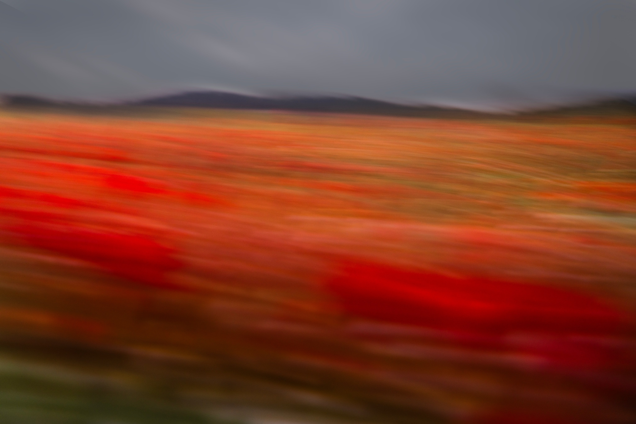 Director, Photographer and Artist in Valencia Natasha Bogomolova