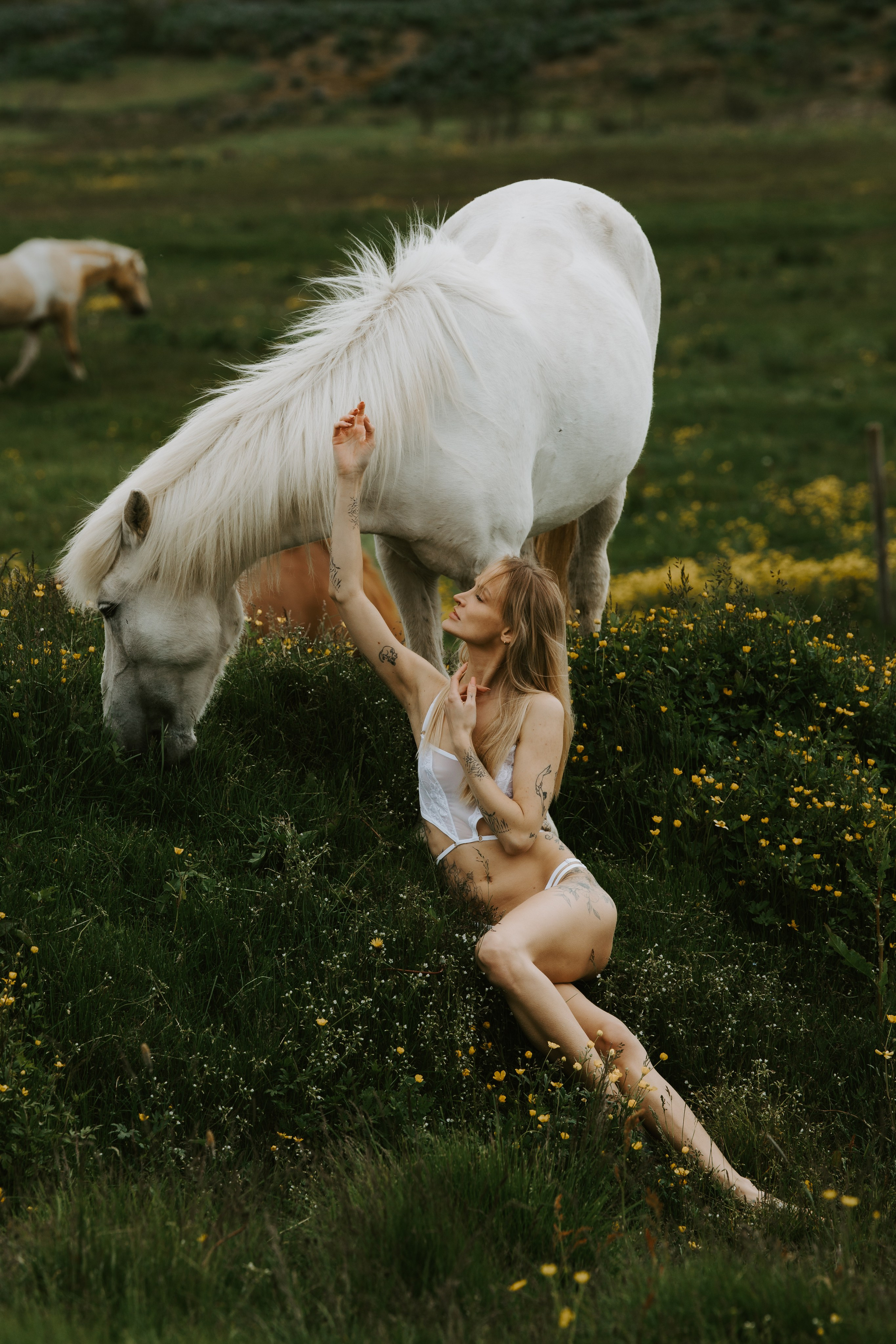 Iceland photography sessions in stunning landscapes, including waterfalls, mountains, and black sand beaches