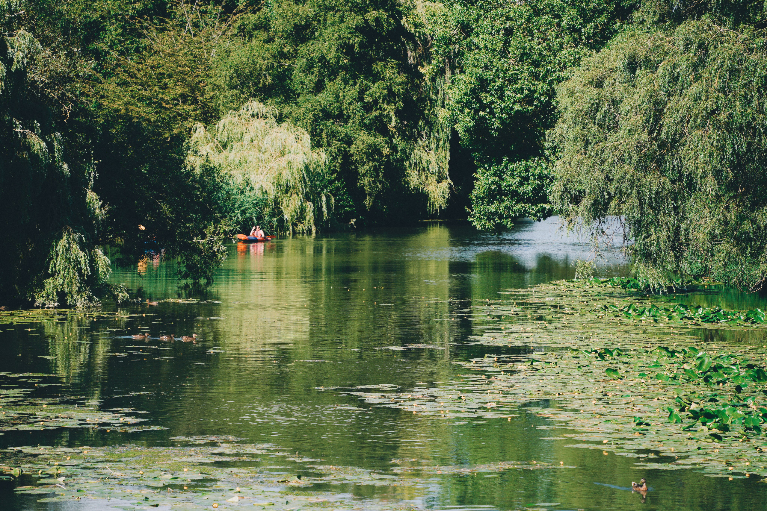 Veronika Birthday Party. Creative Family, Brand, Boudoir and Wedding Photographer in Solihull & Birmingham Irina Zoteeva