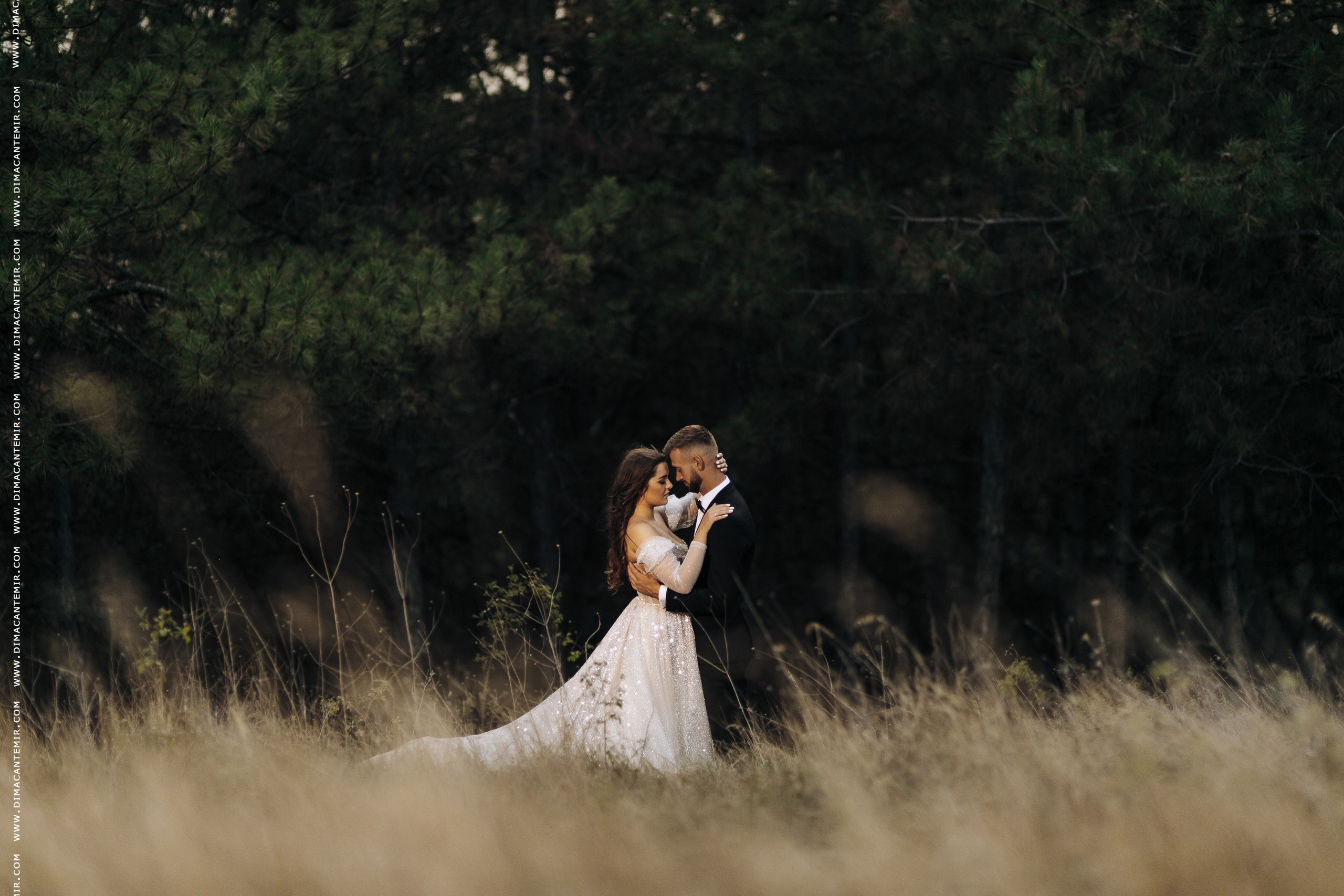 Fotograf de nuntă în Chisinau, Moldova. Poze și Video Comerciale