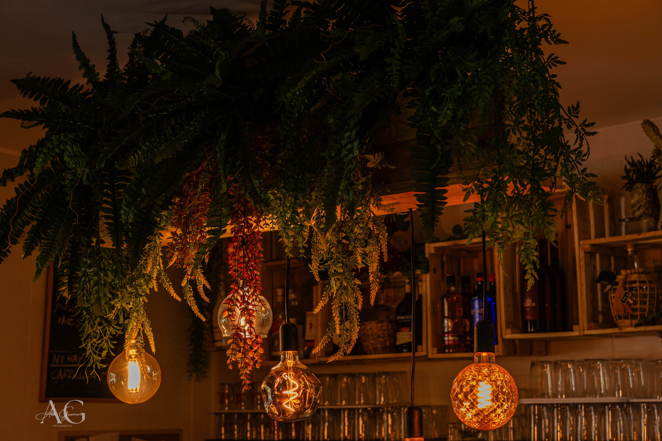 Fotografía gastronómica. Inicio