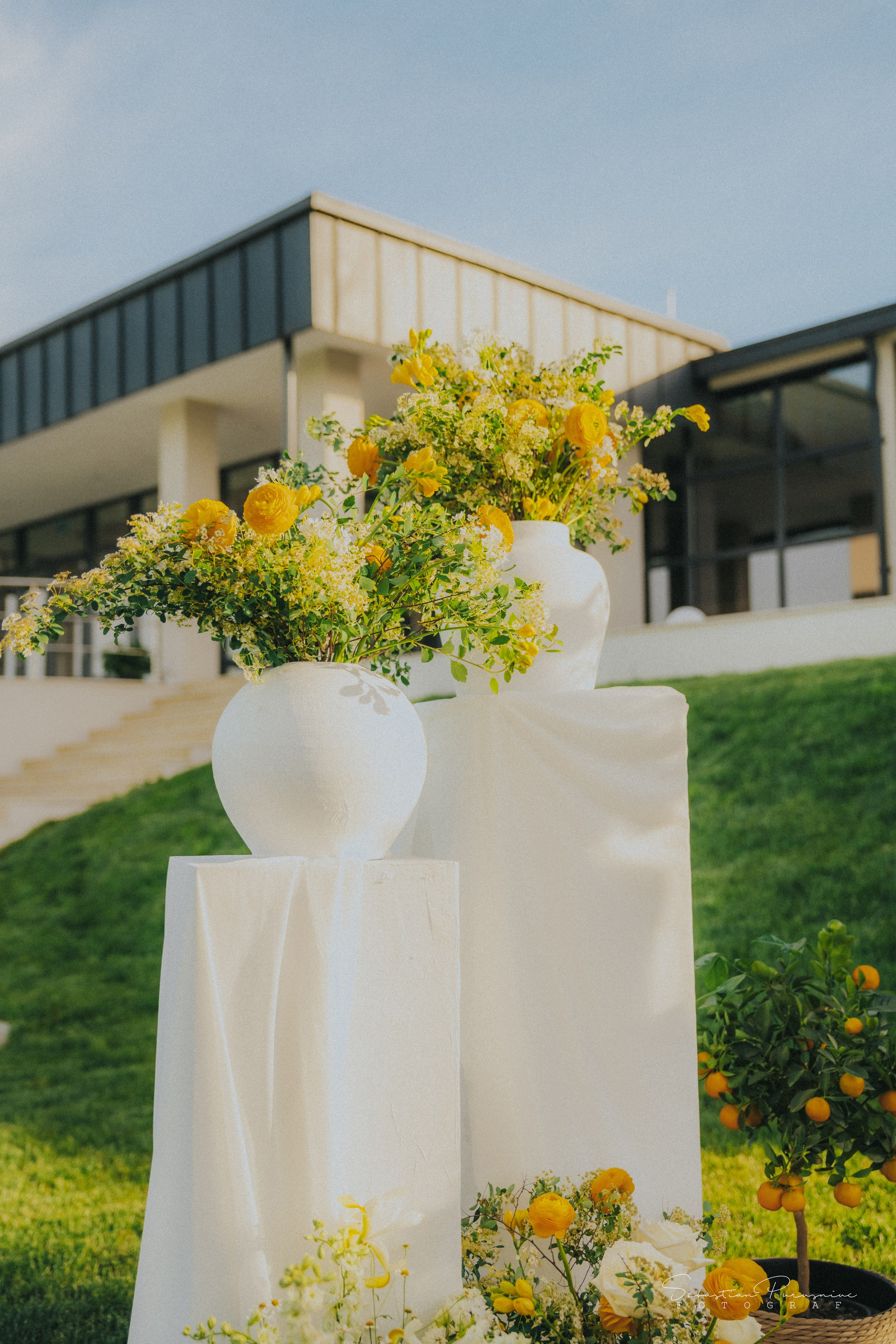 Love & Lemons. Sebastian Purusniuc Fotograf - Iasi