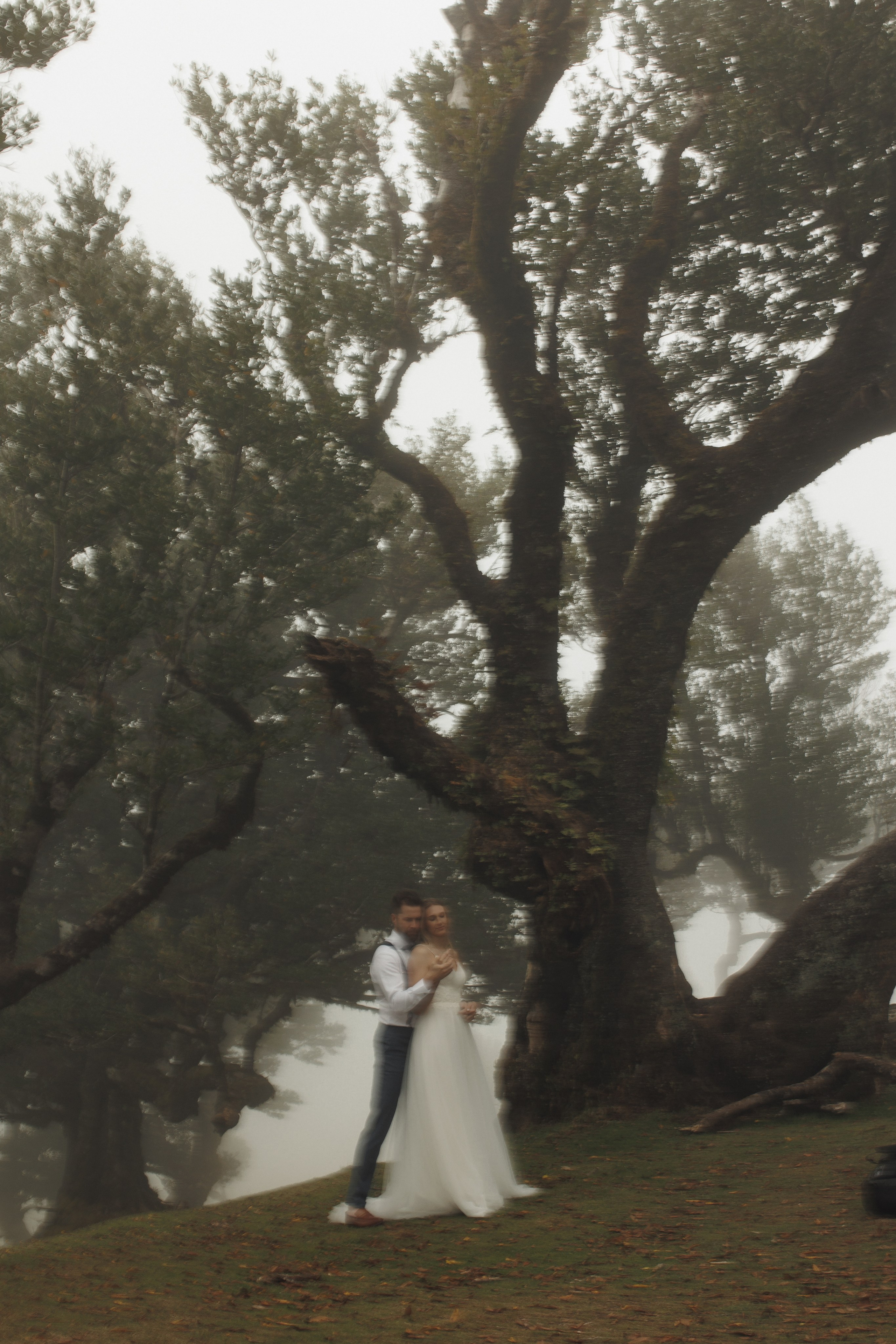 Elopement in Madeira | Mystical Forest of Fanal. Wedding photographer and videographer based in Timisoara, Romania