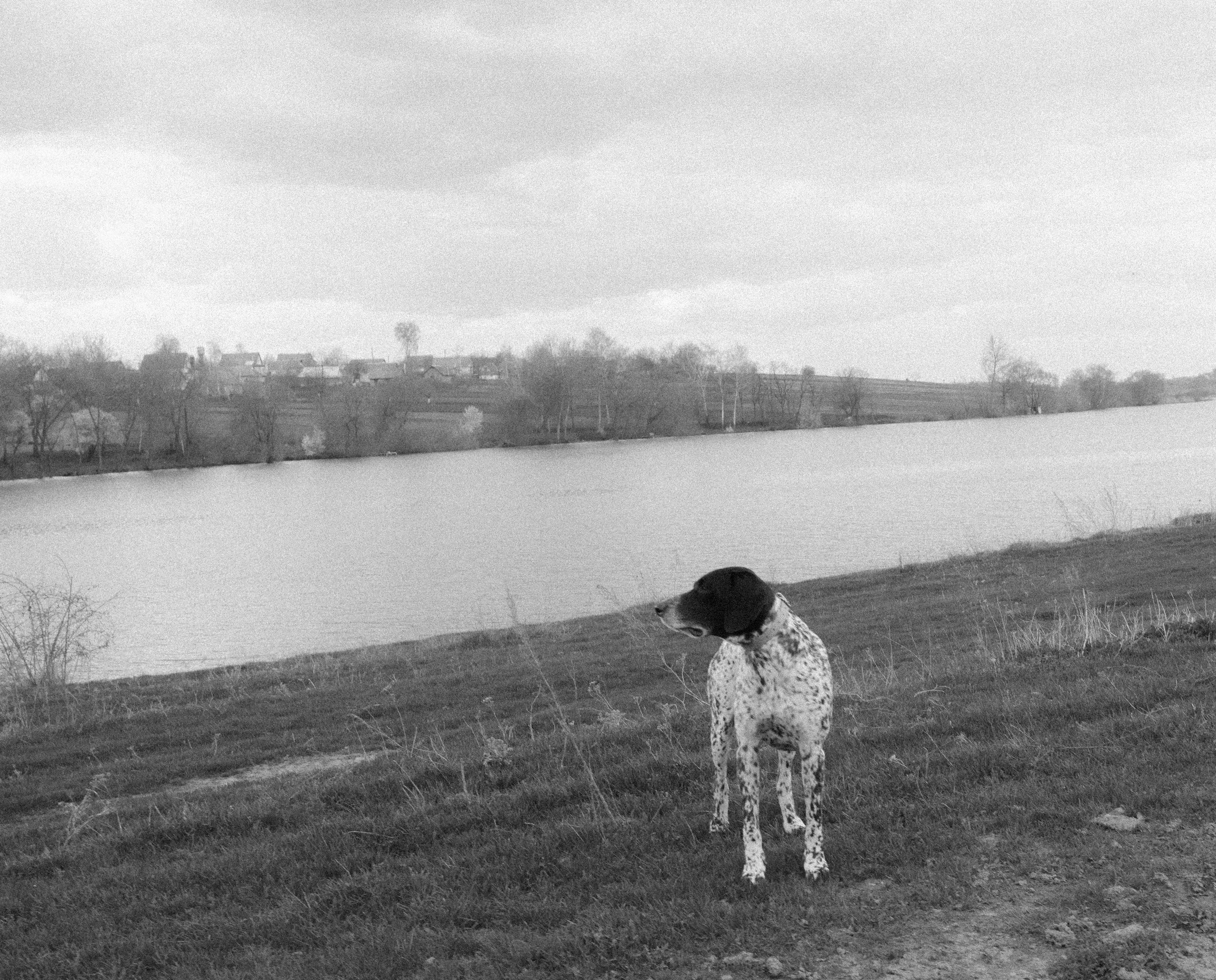 Histoires d’amour, séances photos de famille et de mariage en France
