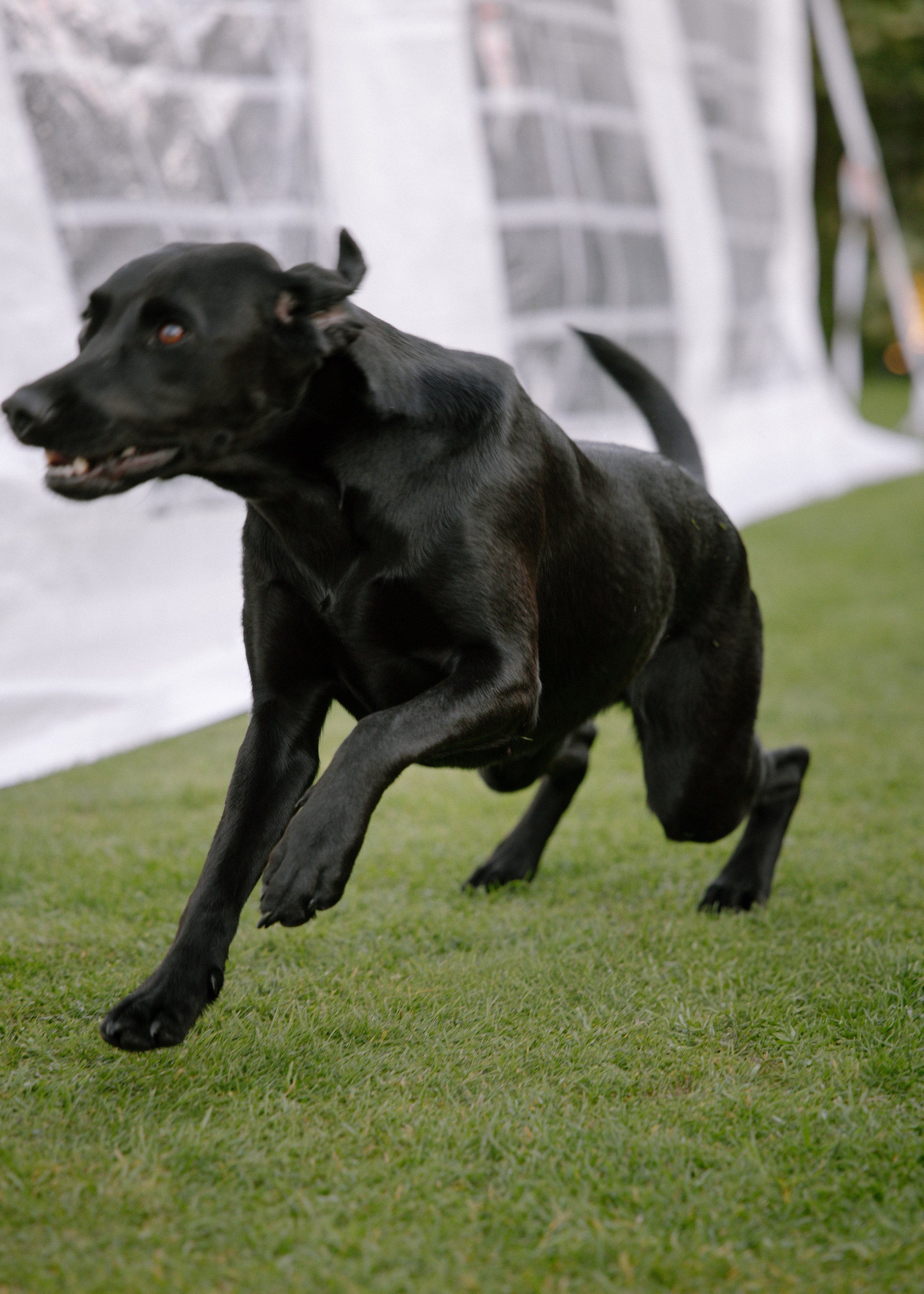 Intimate and emotional wedding. Timeless Wedding & Event Photography — based London, working across Europe