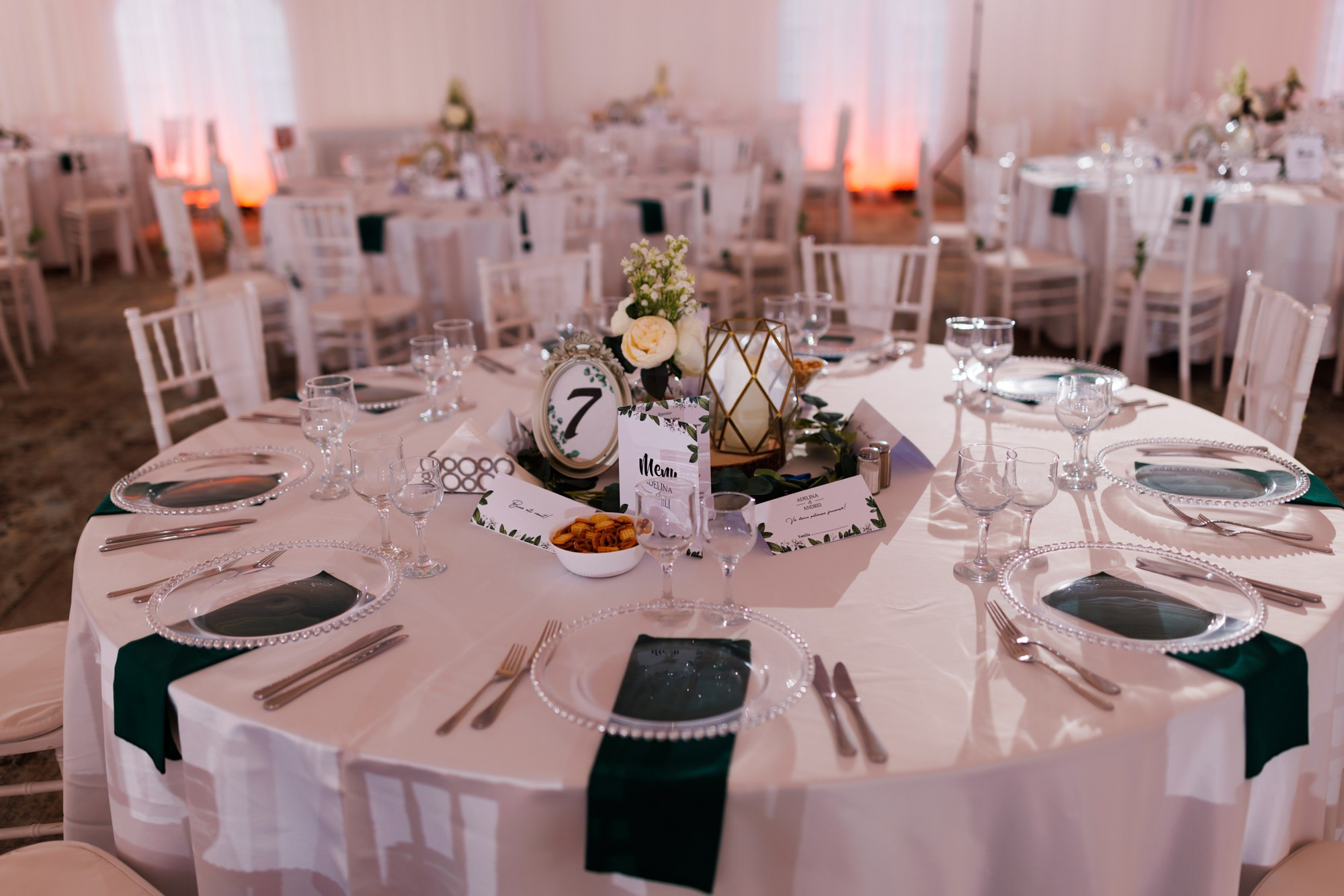 Andrei si Adelina. Fotograf și videograf de nuntă R. Moldova, Romania