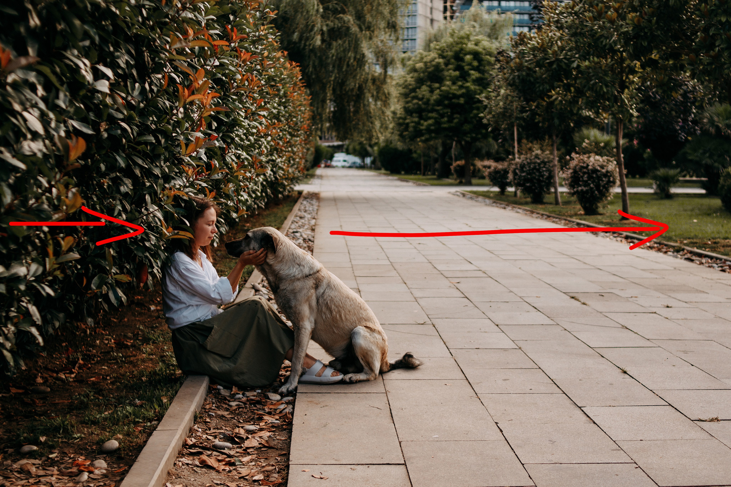 Урок 7. Основы композиции. Wedding and portrait photographer in Beograd Ekaterina Makedonskaya