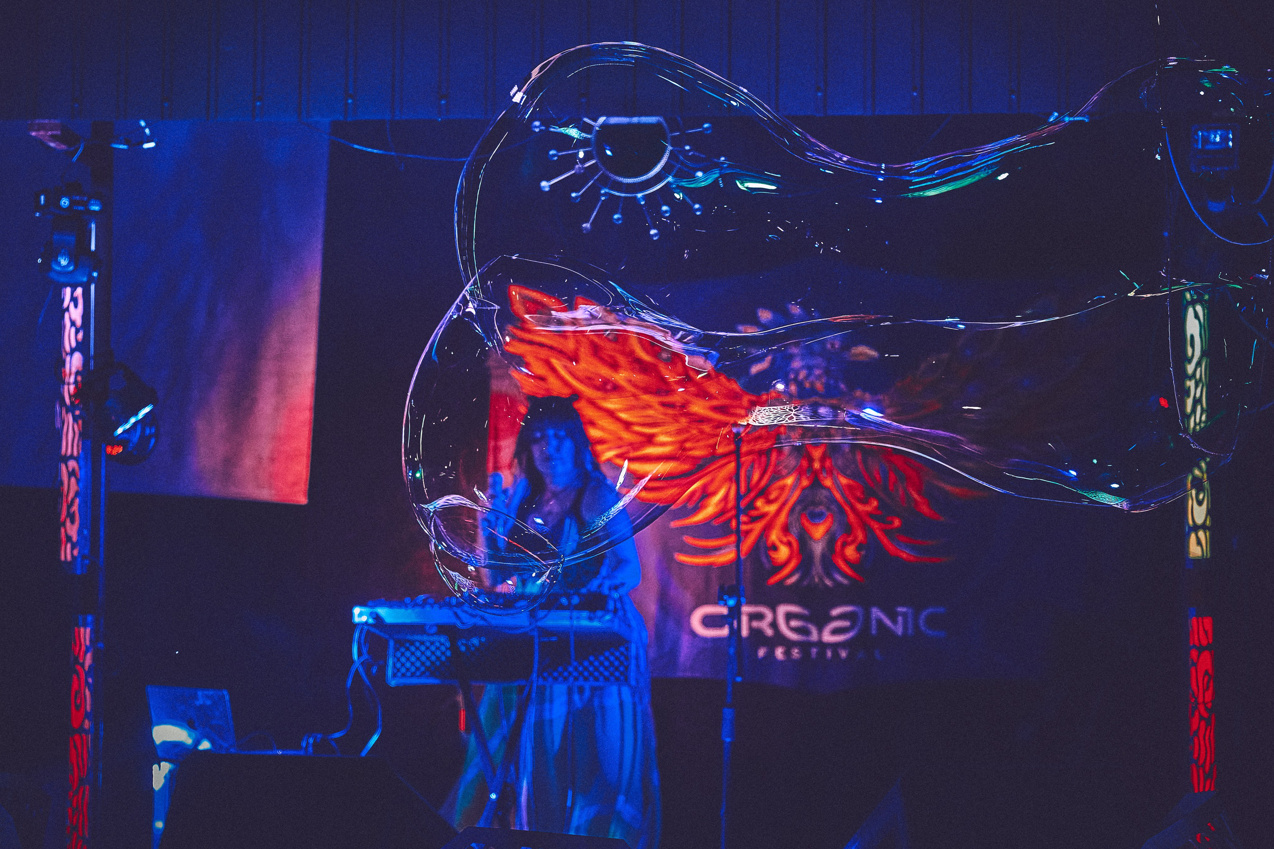 Organic-2025. Andriej Szypilow — Photography & Videography