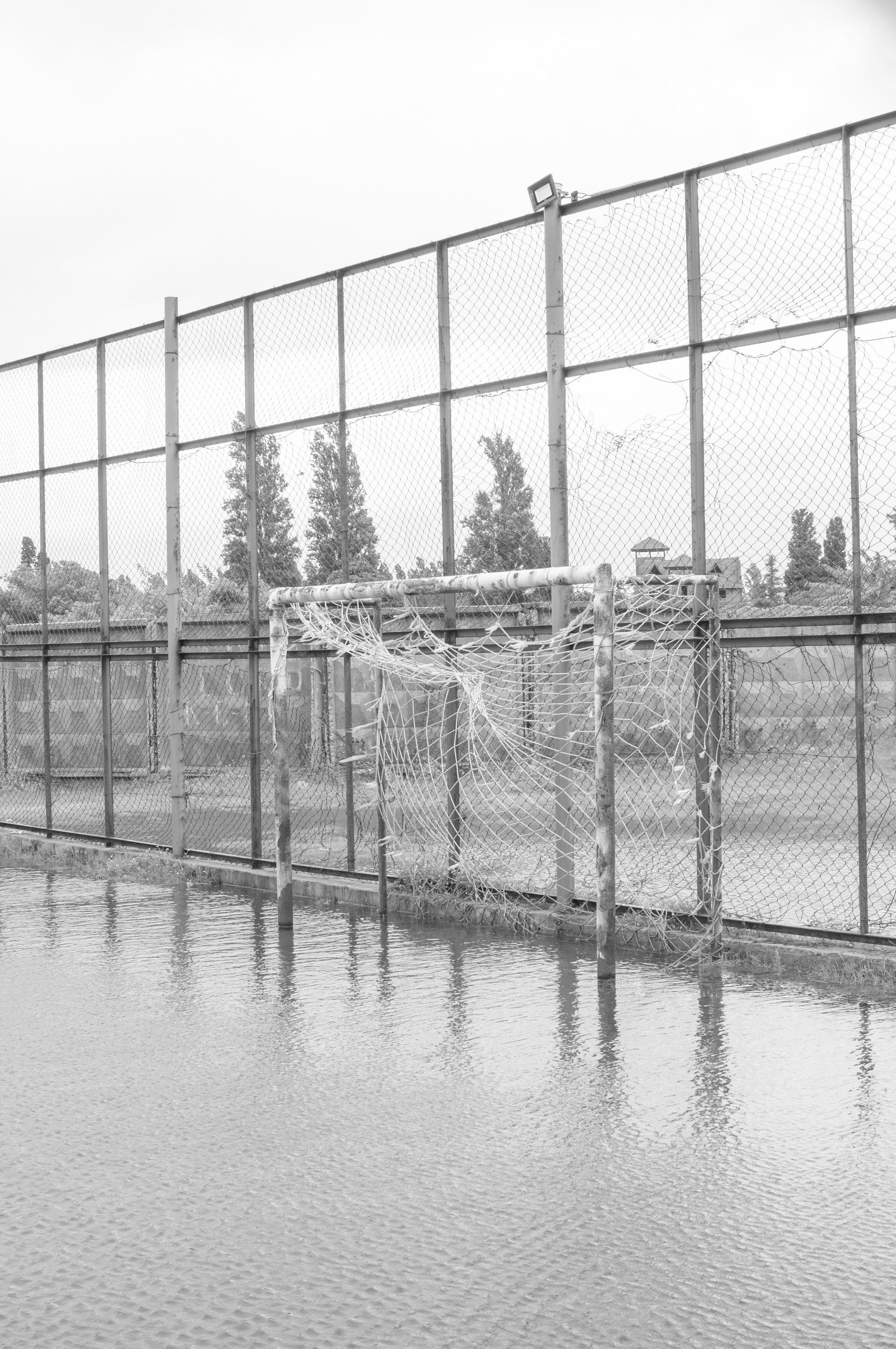 Under the Phasis' Sun. Mayya Kelova artist