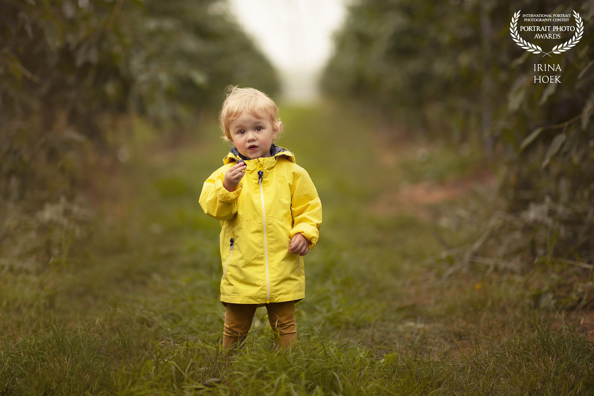 Awards | irina HoekFotografie Erkenningen & Prijzen. Familie en huwelijksfotograaf in Zwolle Overijssel
