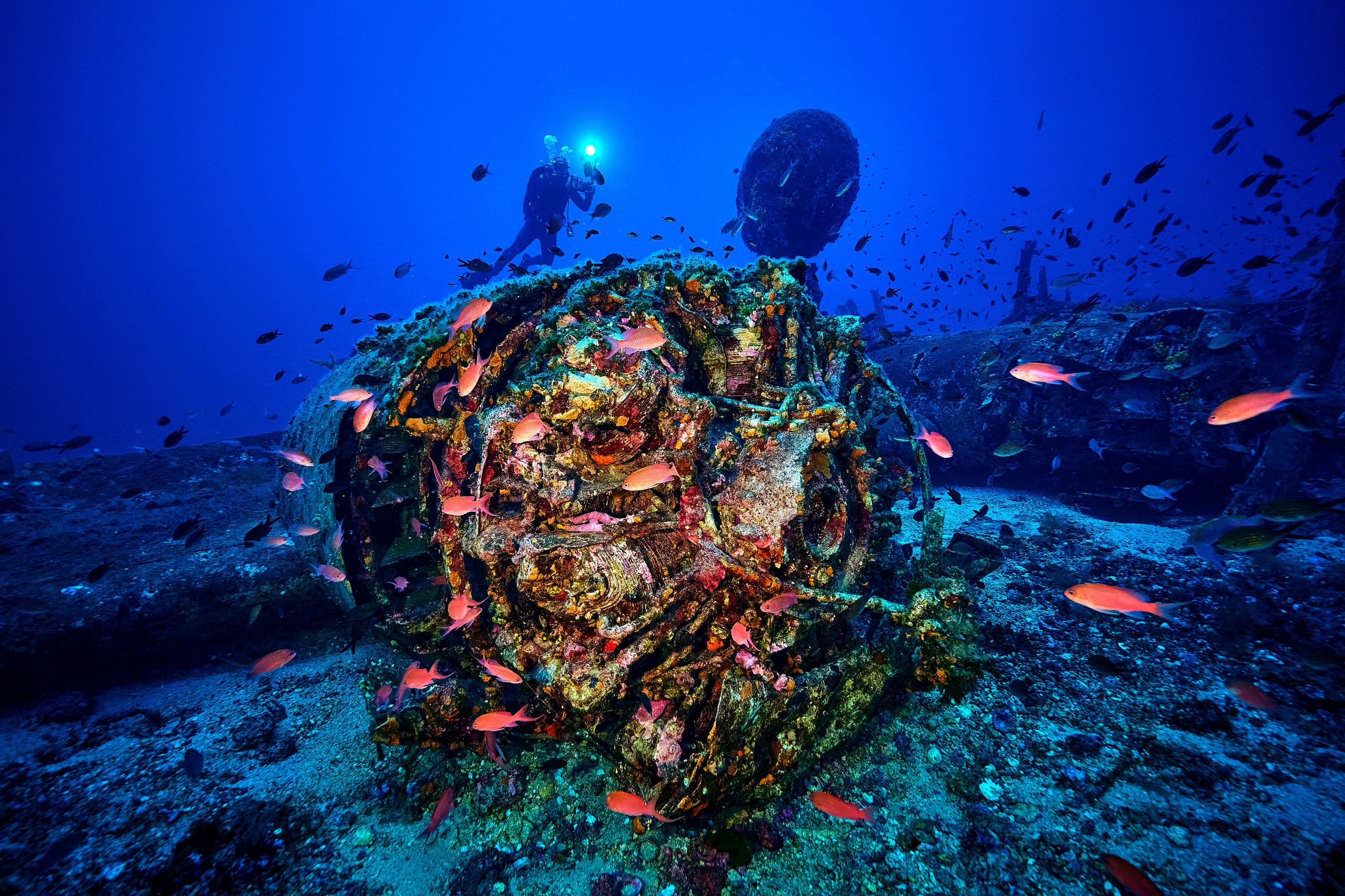 Wrak samolotu B-24 Liberator. Andriej Szypilow — Photography & Videography
