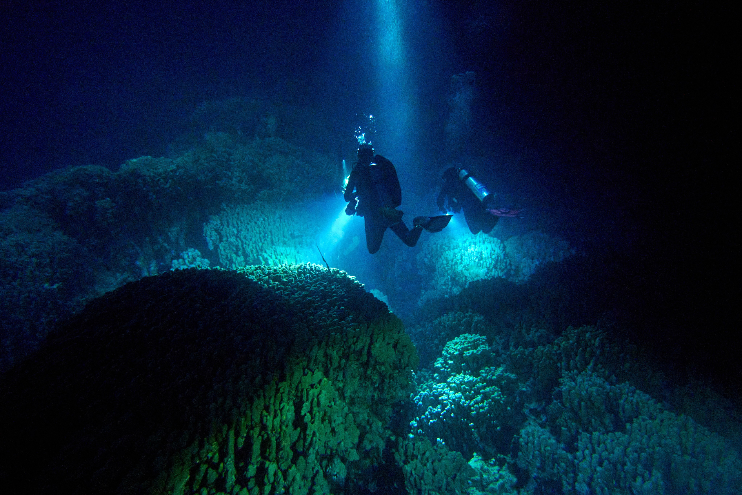 Podwodny fotograf - Andriej Szypilow - underwater photography. Tajemnica - wielka, głęboka i wszechobecna - to jest ta jakość, której przede wszystkim szukam w fotografii podwodnej...