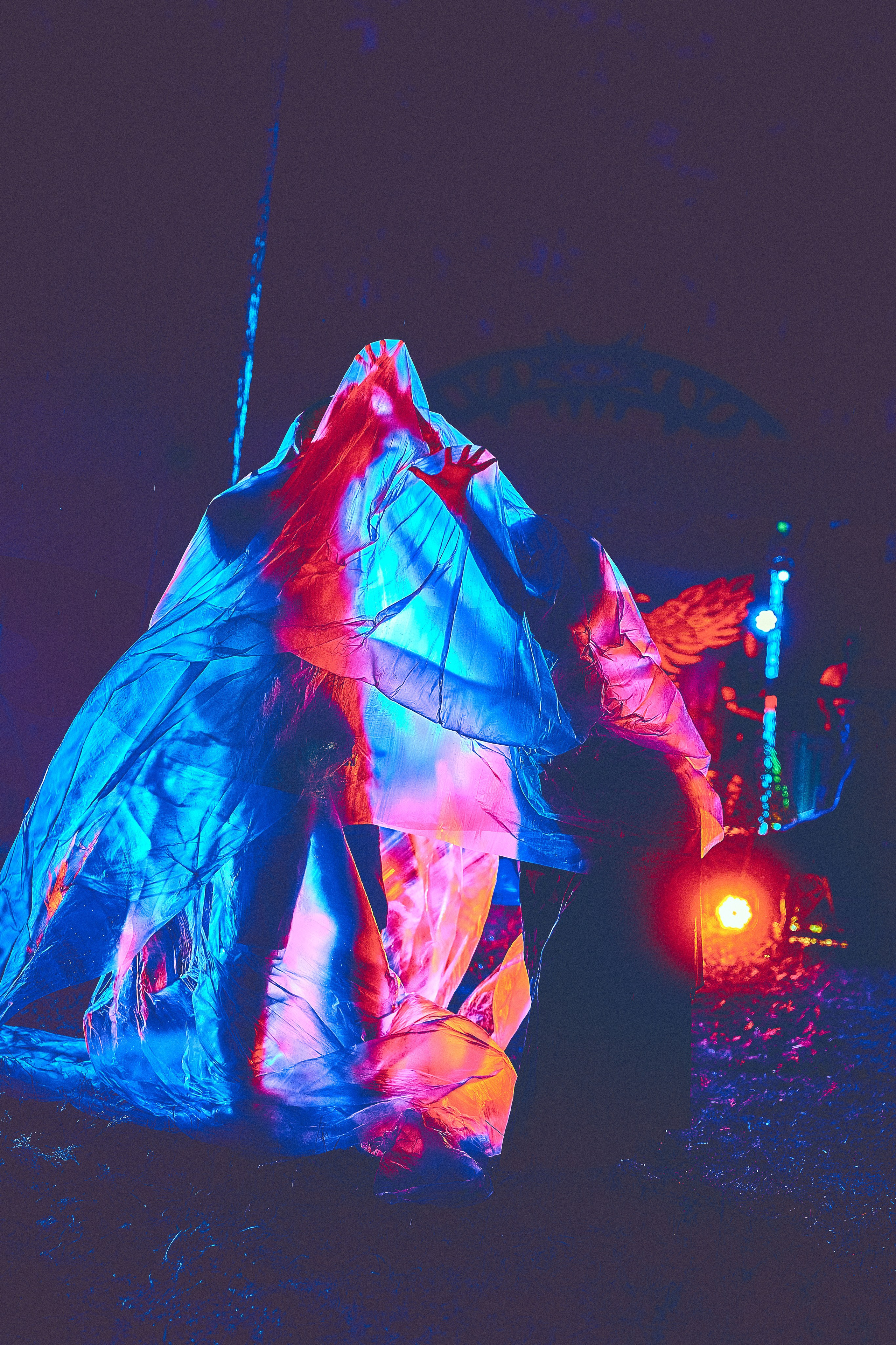 Organic-2025. Andriej Szypilow — Photography & Videography